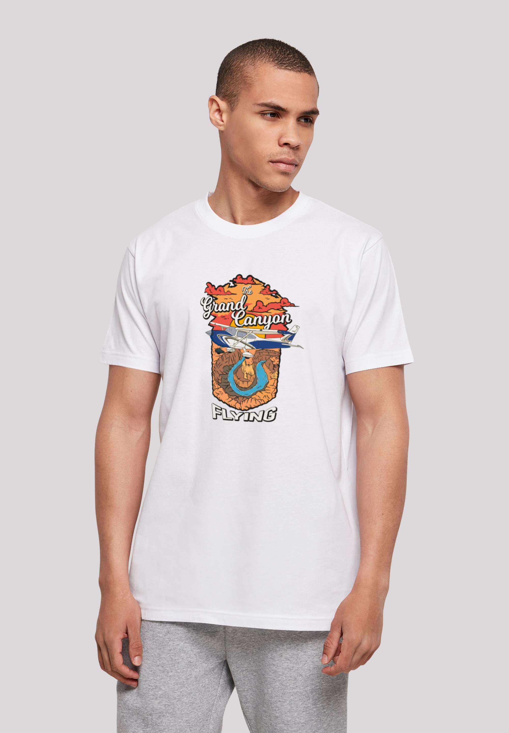 F4NT4STIC T-Shirt "Grand Canyon Flying", Print günstig online kaufen