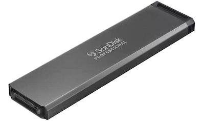 SSD-Festplatte »PRO-BLADE SSD Mag 1TB«