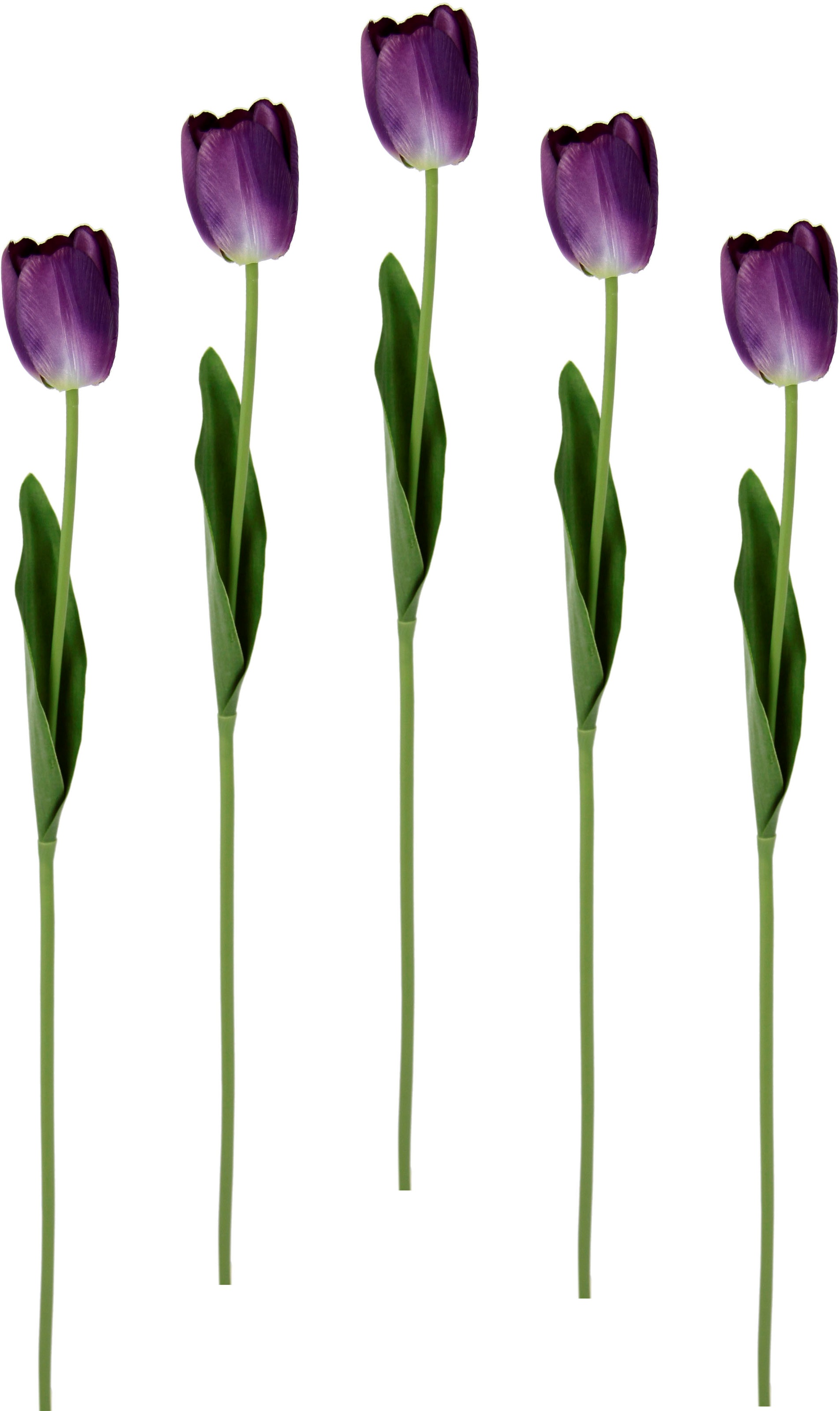 I.GE.A. Kunstblume "Real Touch Tulpen", 5er Set künstliche Tulpenknospen, K günstig online kaufen