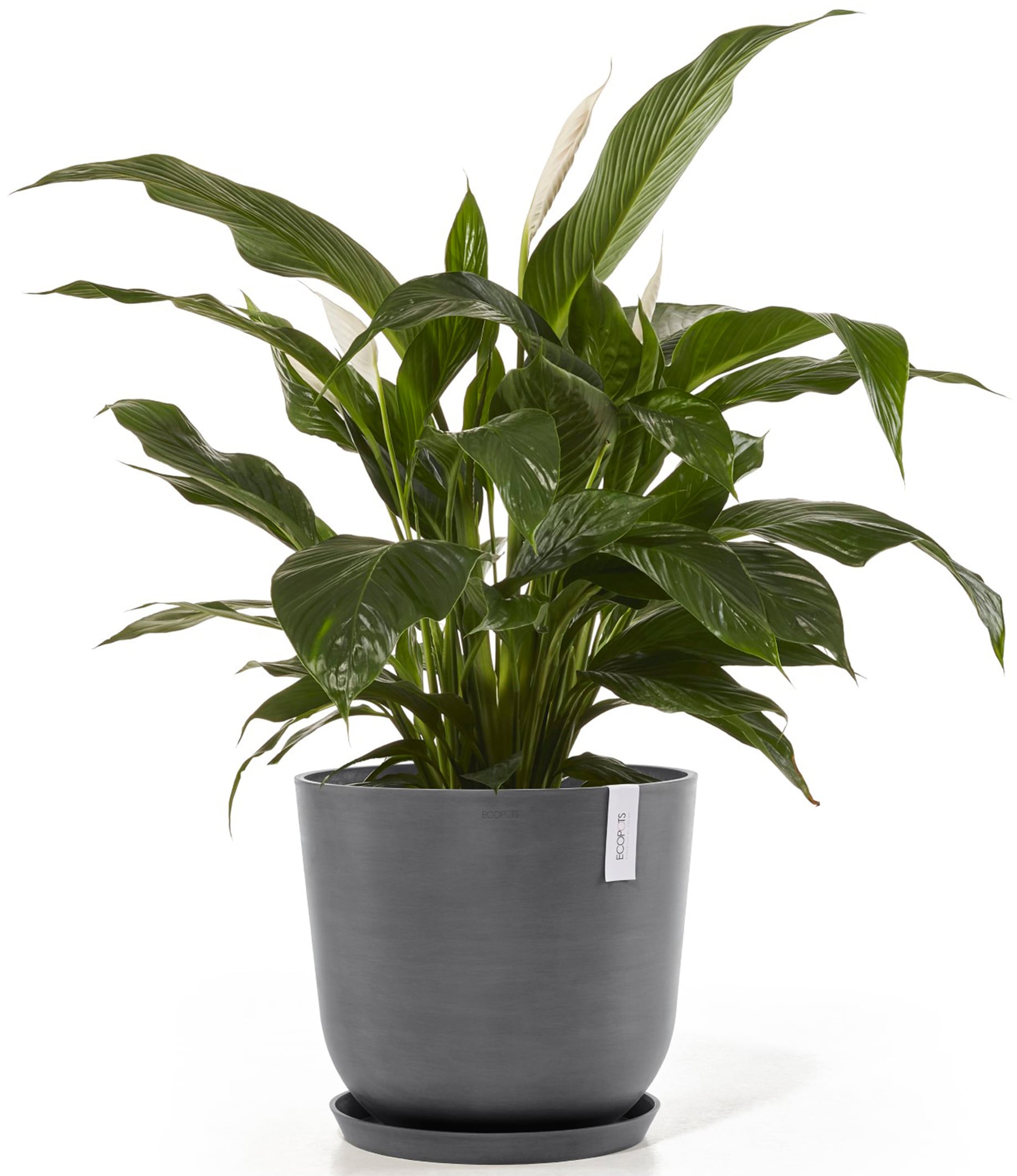 ECOPOTS Blumentopf »Oslo 45 + Wassersystem Grau«, für innen und außen: frostsicher, bruchsicher und lichtbeständig
