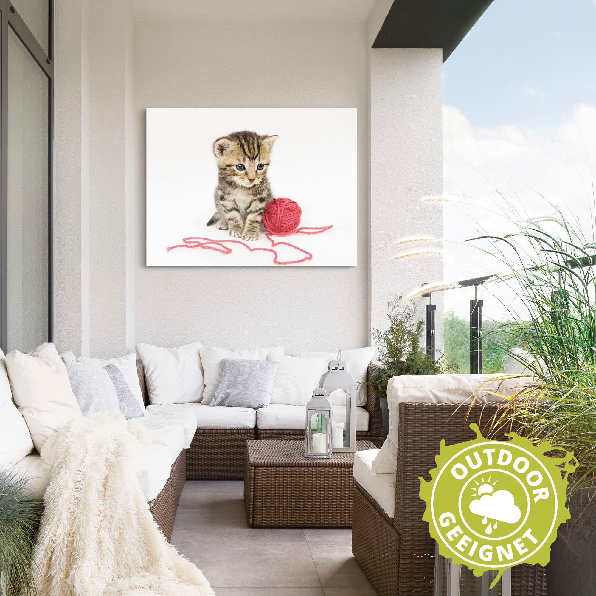 Artland Wandbild »Kätzchen mit rotem Garnball«, Haustiere, (1 St.), als Alubild, Outdoorbild, Poster, Wandaufkleber in verschied. Größen
