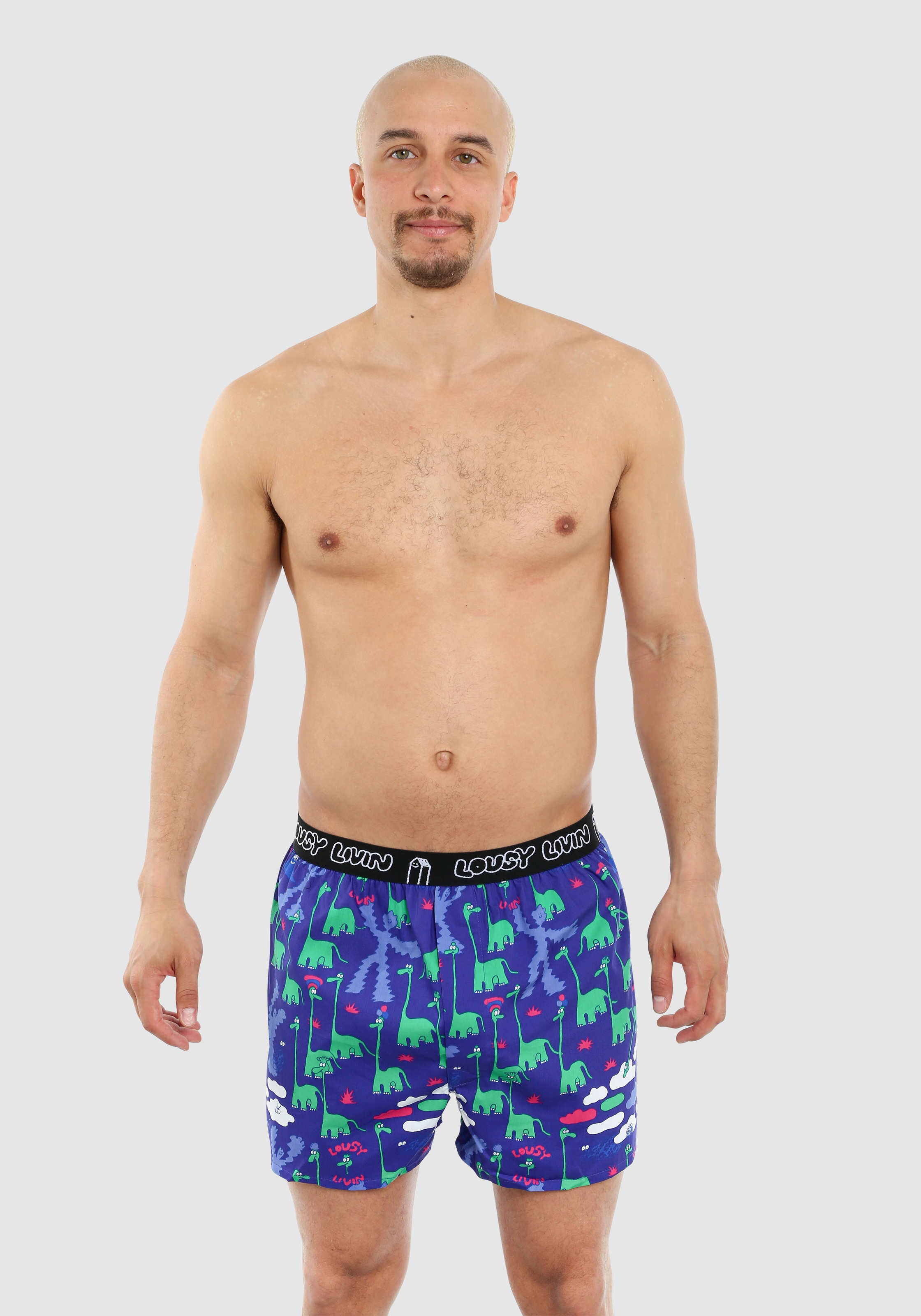 Lousy Livin Boxershorts »Dino 2 Pack«, (2 St.), mit amüsantem Allover-Muster