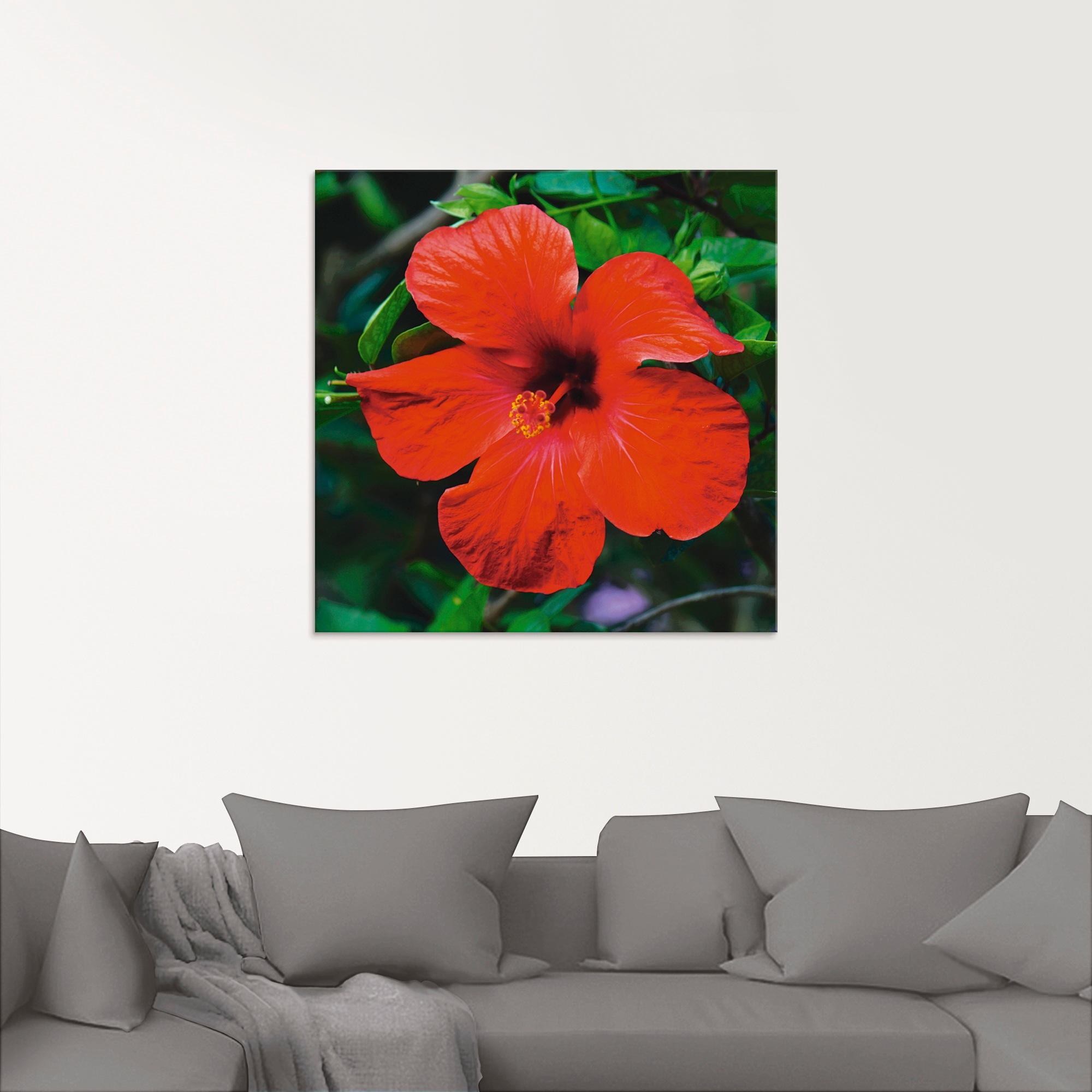 Artland Glasbild »Hawaiiblume«, Blumen, (1 St.), in verschiedenen Größen