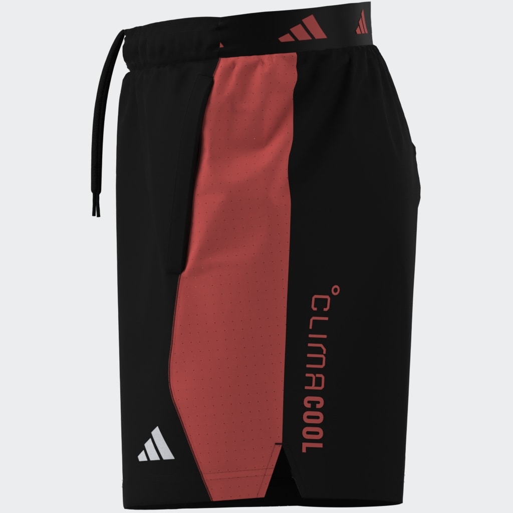 adidas Performance Shorts »TECH APPAREL CLIMACOOL«  für Fitnessstudio und Joggen, leichtes und atmungsaktives Material