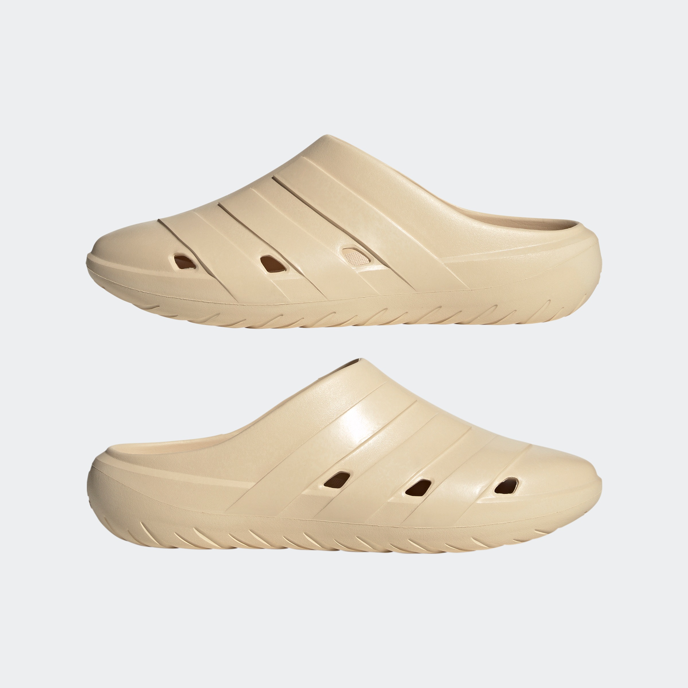 adidas Sportswear Badesandale »ADICANE CLOG«