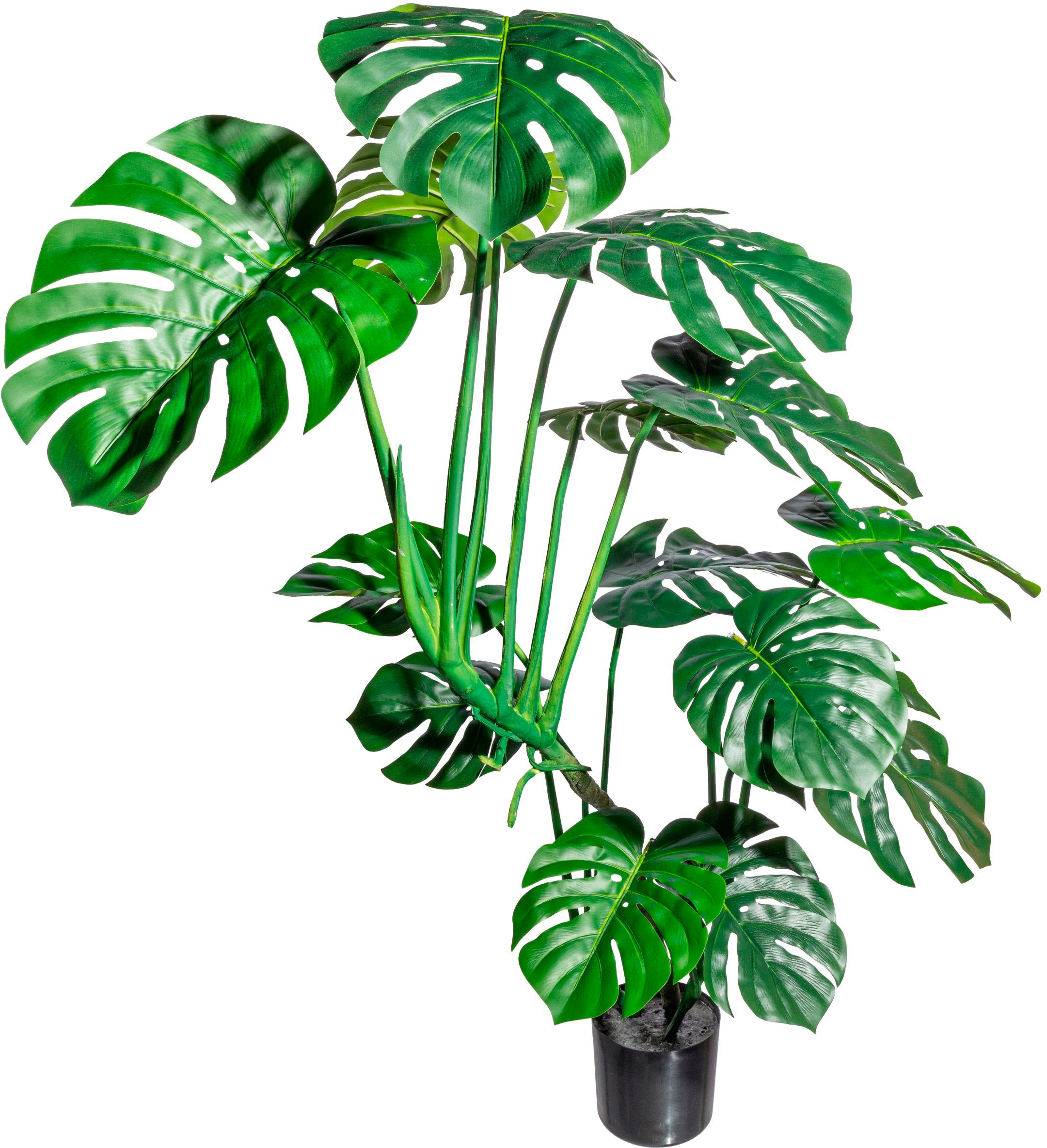 Creativ green Kunstbaum "Splitphilodendron"