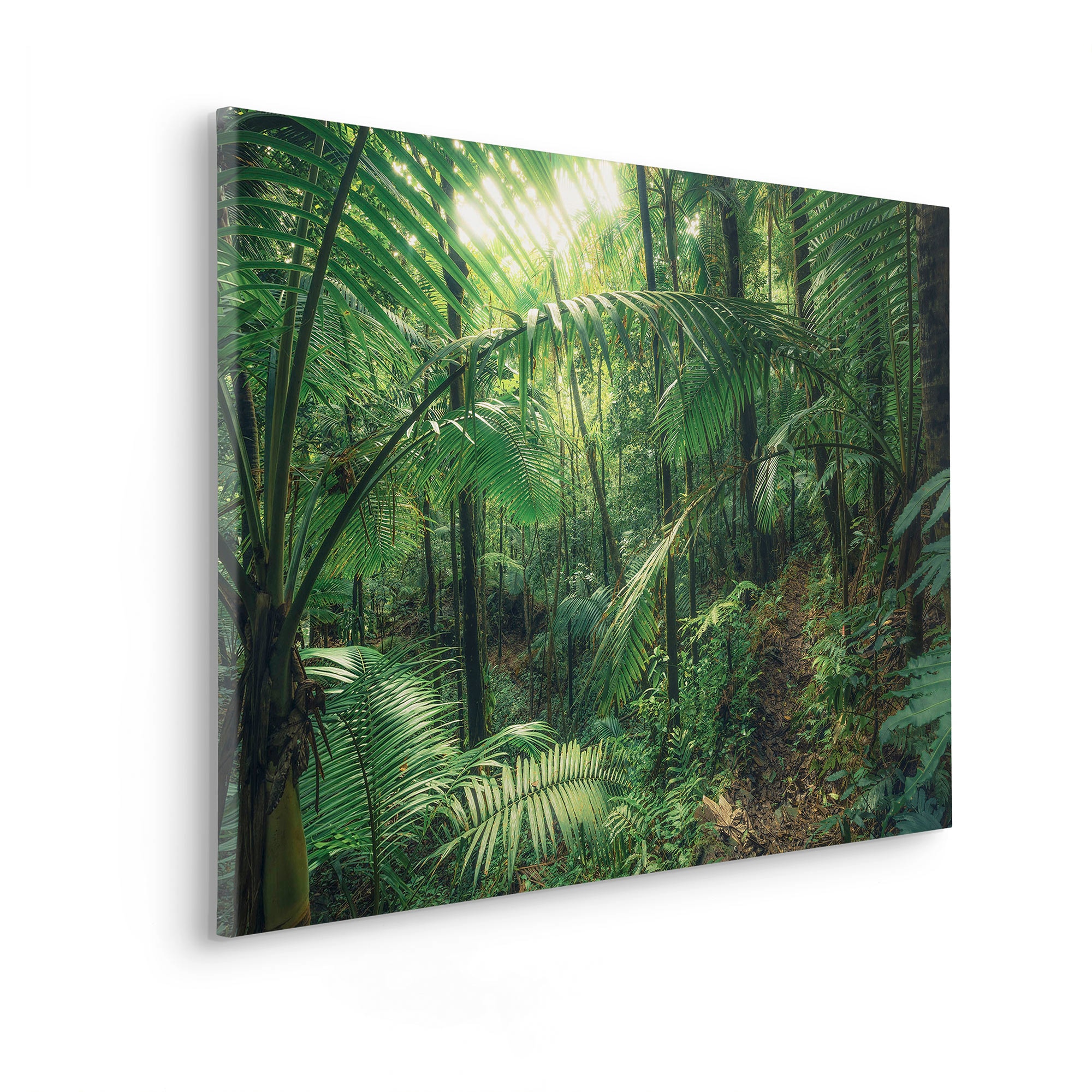 Komar Leinwandbild »Jungleflair«, Baum-Blätter-Natur-Berge-Blumen-Foto-Jahreszeiten-Landschaft-Meer-Strand-Palmen, (1 St.), 90x60 cm (Breite x Höhe), Keilrahmenbild