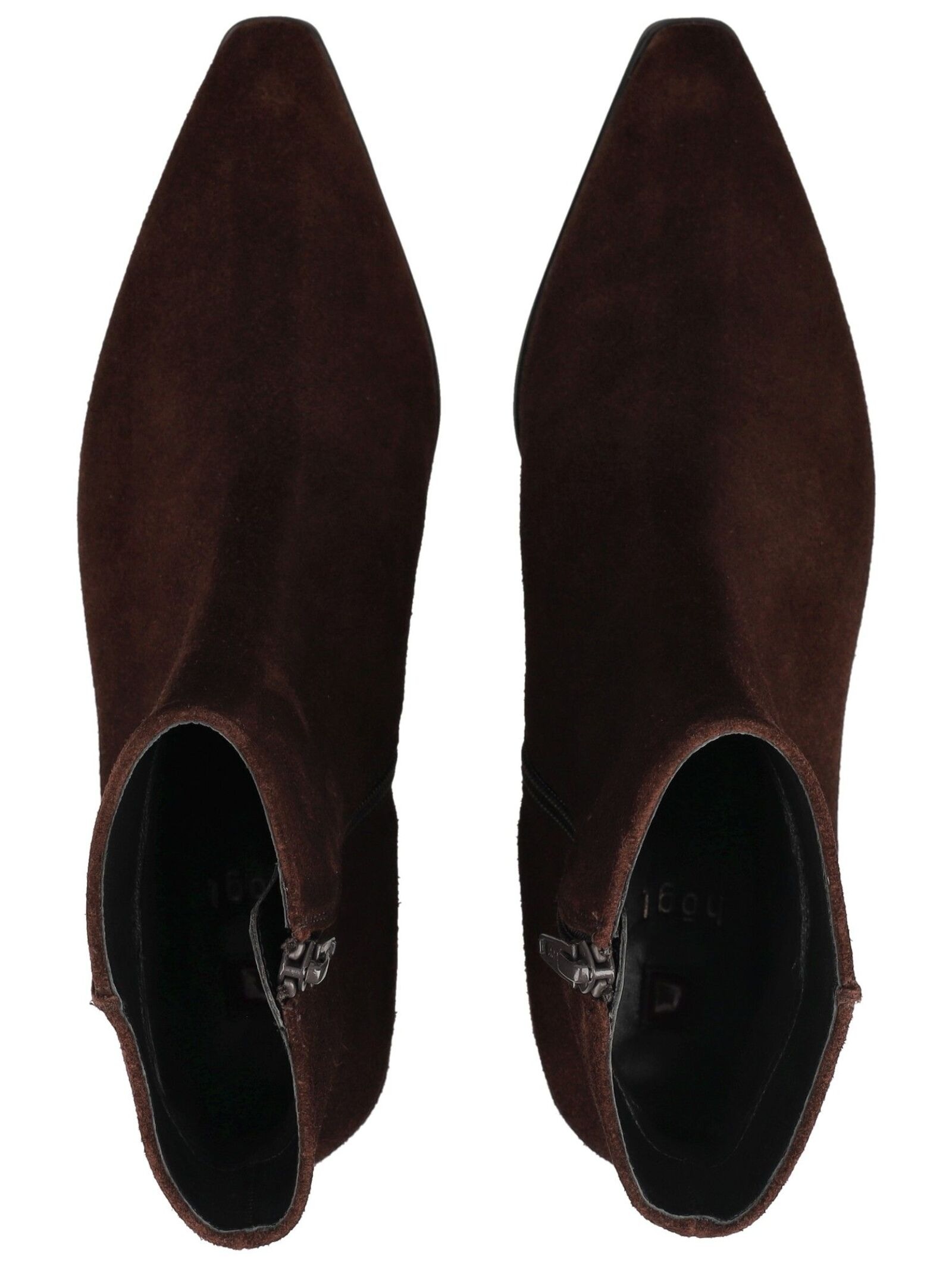 Högl Stiefelette »Högl Stiefelette Veloursleder«