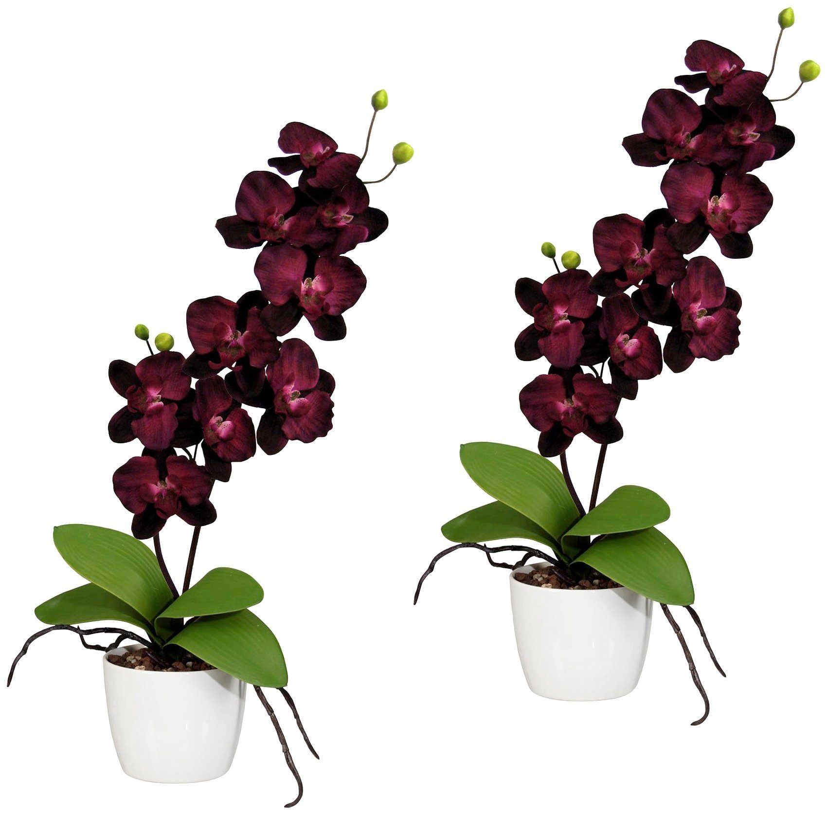 Creativ green Kunstpflanze "Orchidee Phalaenopsis", im Keramiktopf günstig online kaufen