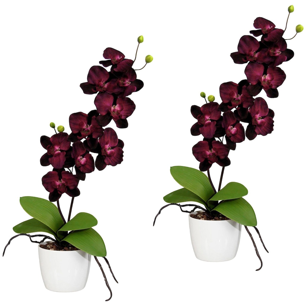 Creativ green Kunstpflanze »Orchidee Phalaenopsis«, im Keramiktopf