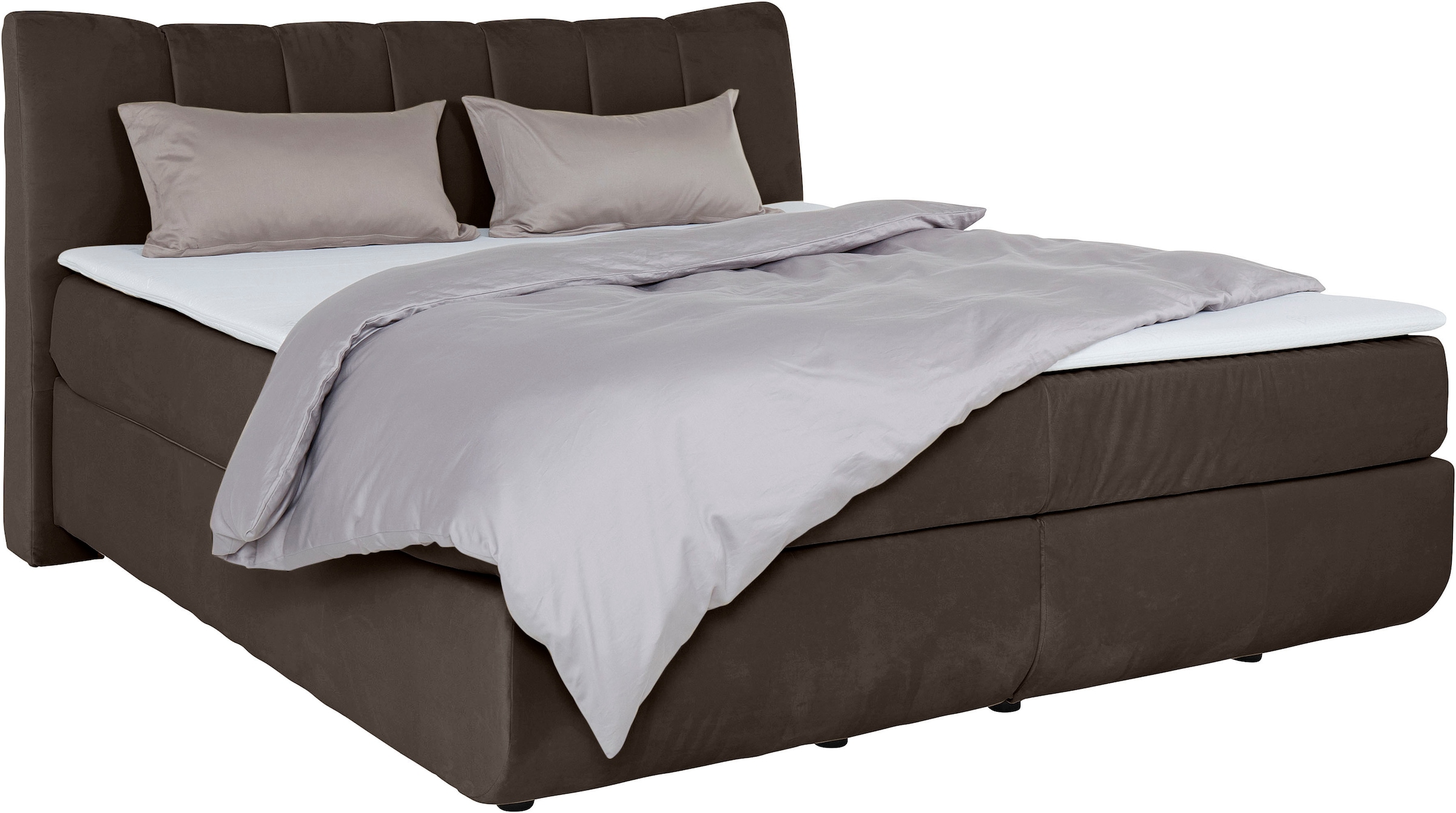 Home affaire Boxspringbett "Océane" Bodenfrei- wirkt freischwebend, verschi günstig online kaufen