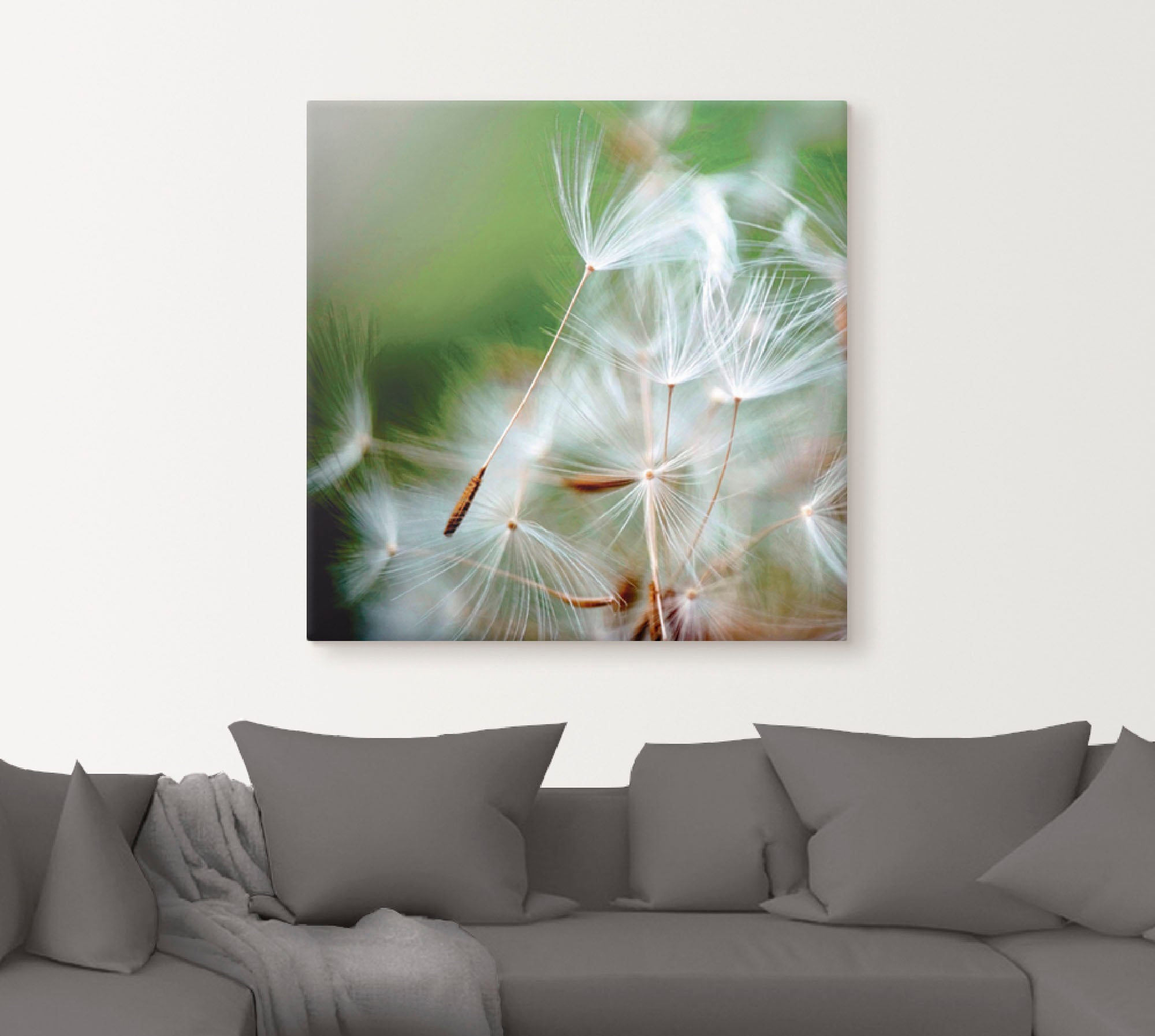 Artland Alu-Dibond-Druck »Pusteblume kuschelweich«, Blumen, (1 St.), für Innen- und Außenbereich geeignet, Outdoorbild