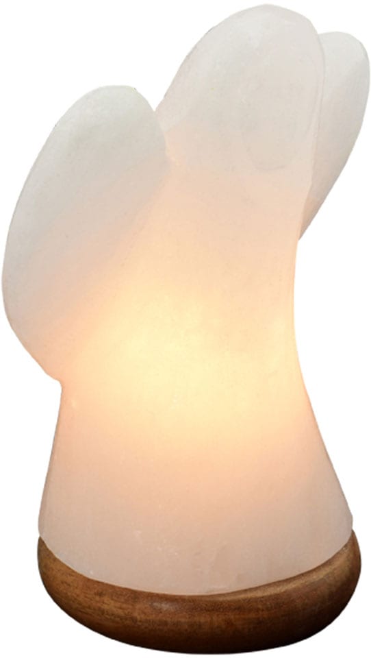 HIMALAYA SALT DREAMS Salzkristall-Tischlampe »Engel«, Handgefertigt aus  Salzkristall - jeder Stein ein Unikat, H: ca.19 cm kaufen | BAUR