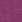 fuchsia fuchsia
