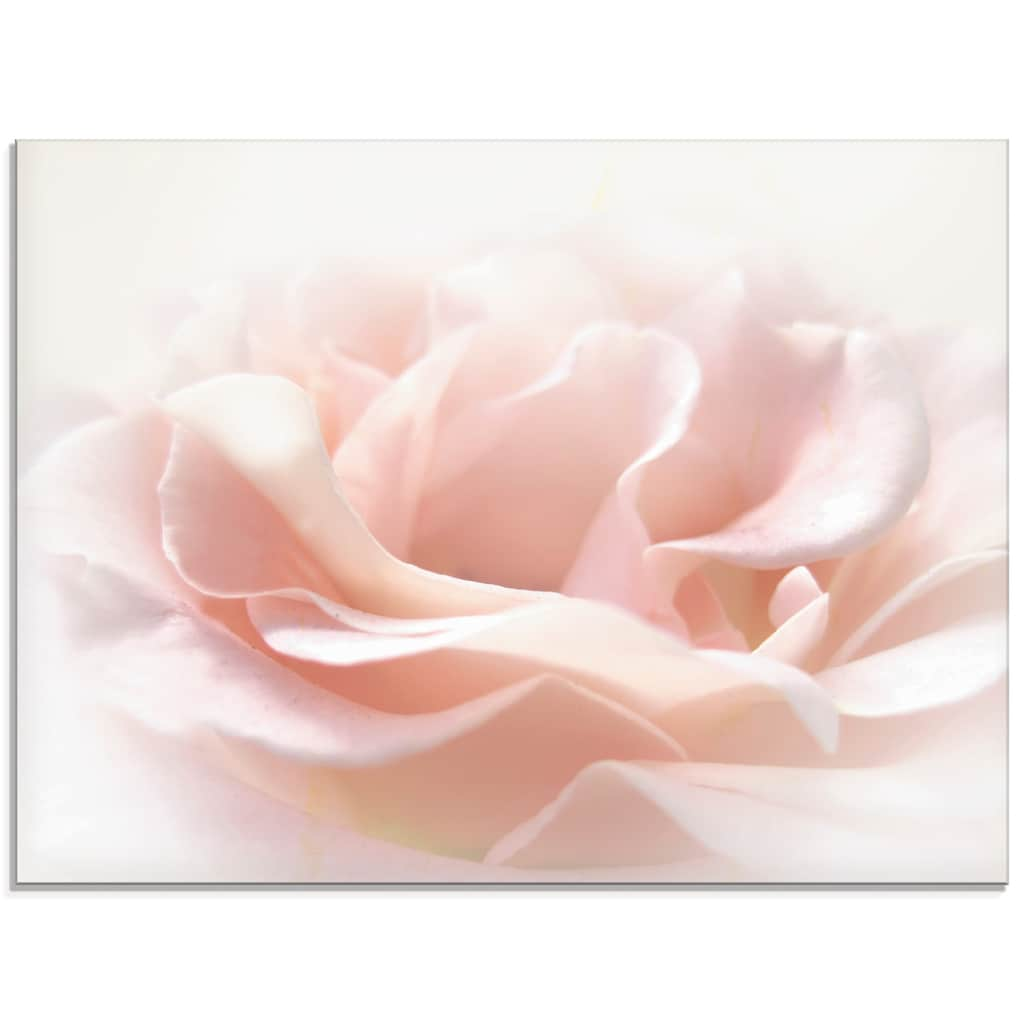 Artland Glasbild »Rose I«, Blumen, (1 St.)