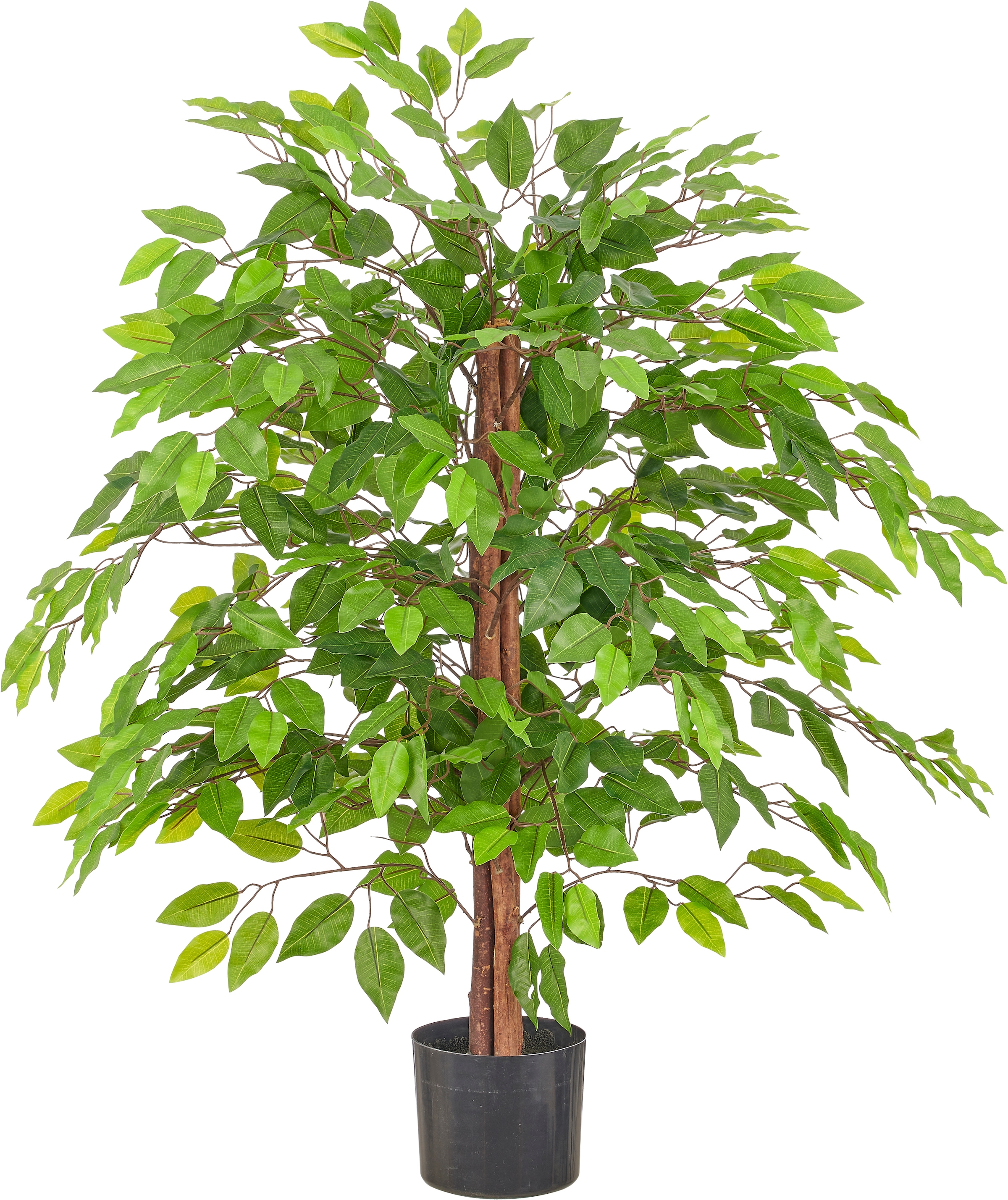 Creativ green Kunstbaum "Ficus benjamina" mit schönem Blattwerk
