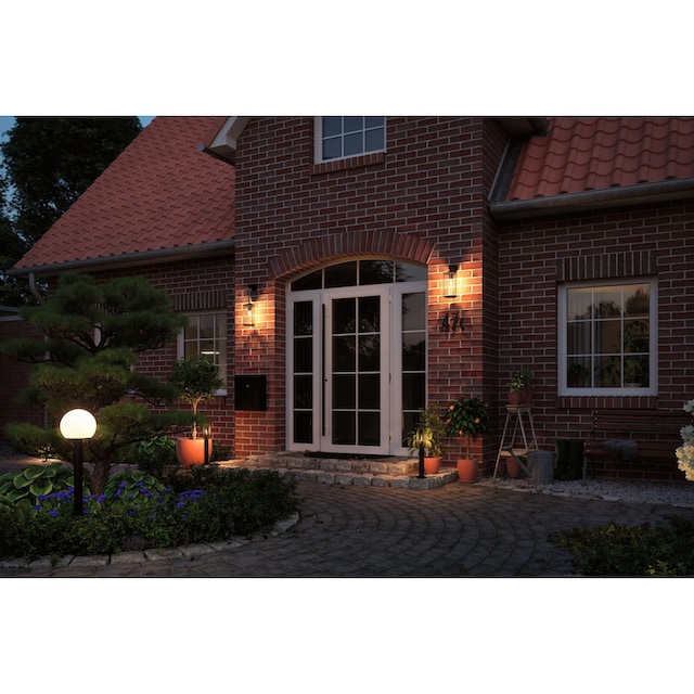 Paulmann LED Gartenleuchte »Plug&Shine«, 1 flammig-flammig, E14 24V IP44  Globe Anthrazit bestellen | BAUR