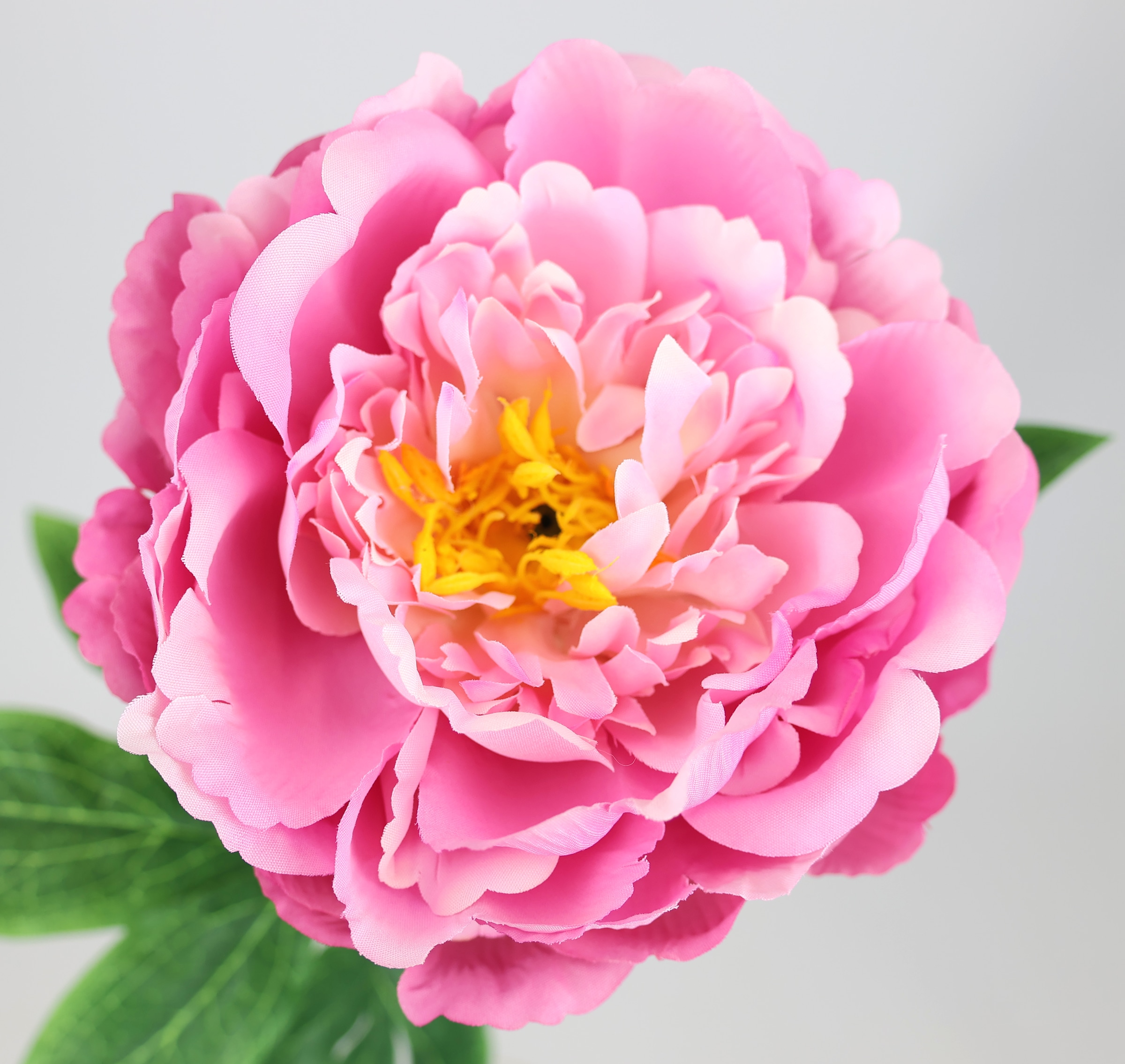 I.GE.A. Kunstblume »Päonie Bauernrose«, Pfingstrosen Einzelblume, 3er Set