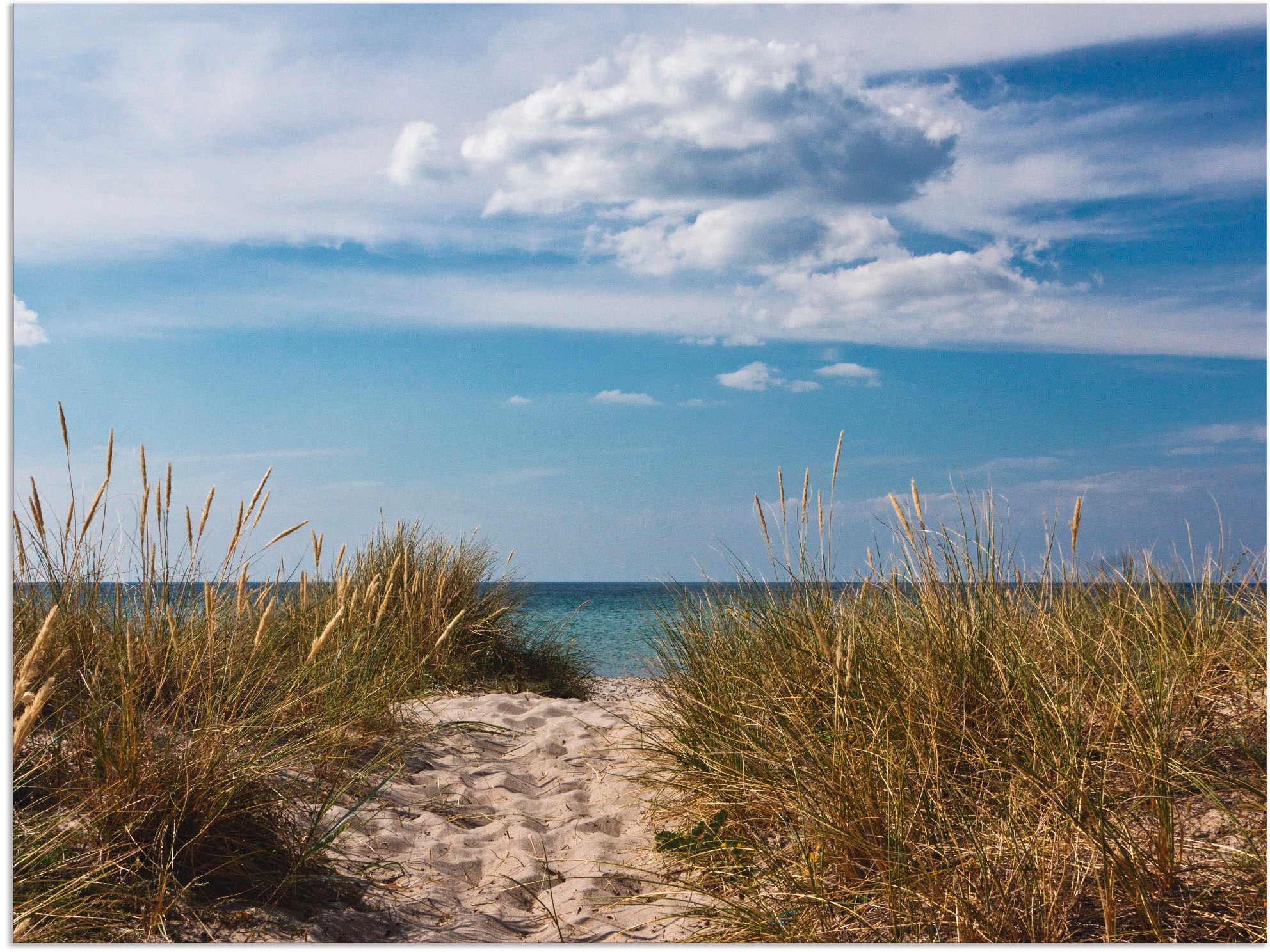 Artland Wandbild »Ostseestrand in Dänemark«, Strand, (1 St.), als Alubild,  Leinwandbild, Wandaufkleber oder Poster in versch. Größen bestellen | BAUR