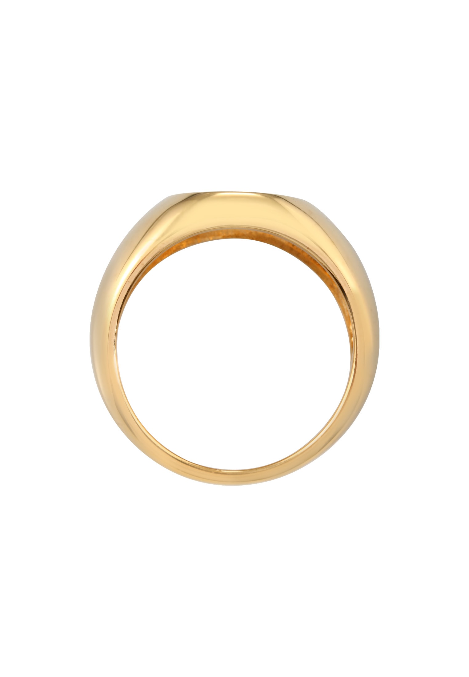 Elli Premium Siegelring »Ring Siegelring Schlange Kraft Symbol 925 Silber«
