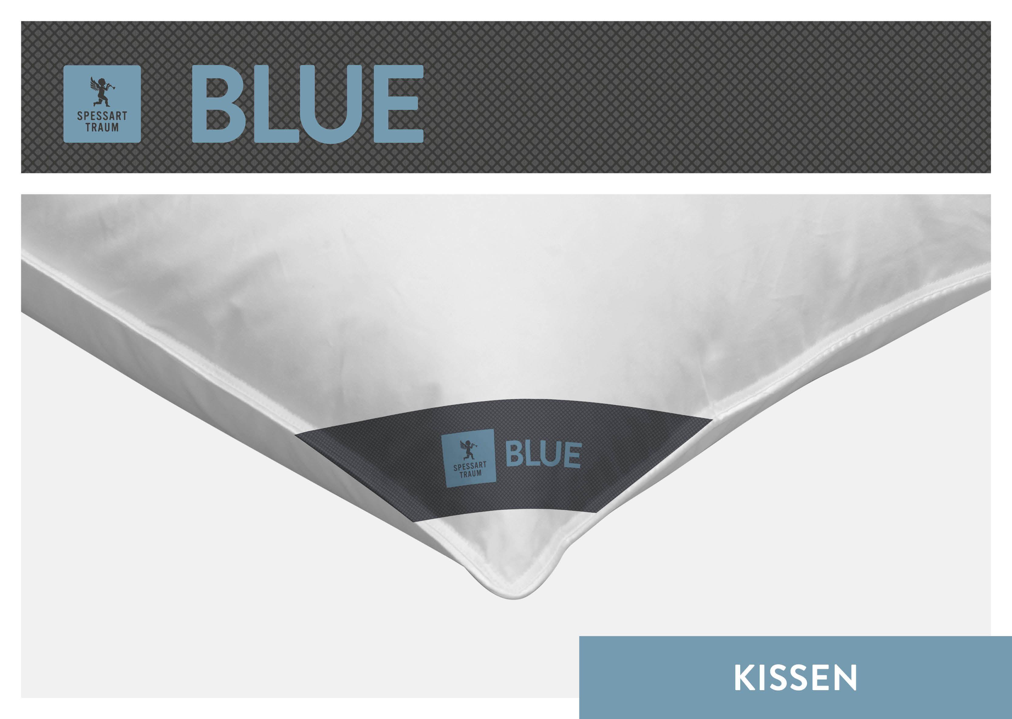 Thumbnail - SPESSARTTRAUM 3-Kammer-Kopfkissen "Blue" Füllung: Aussen60Daunen40FedernInnen100Federn 1 Stk. tlg. hergestellt in Deutsc...