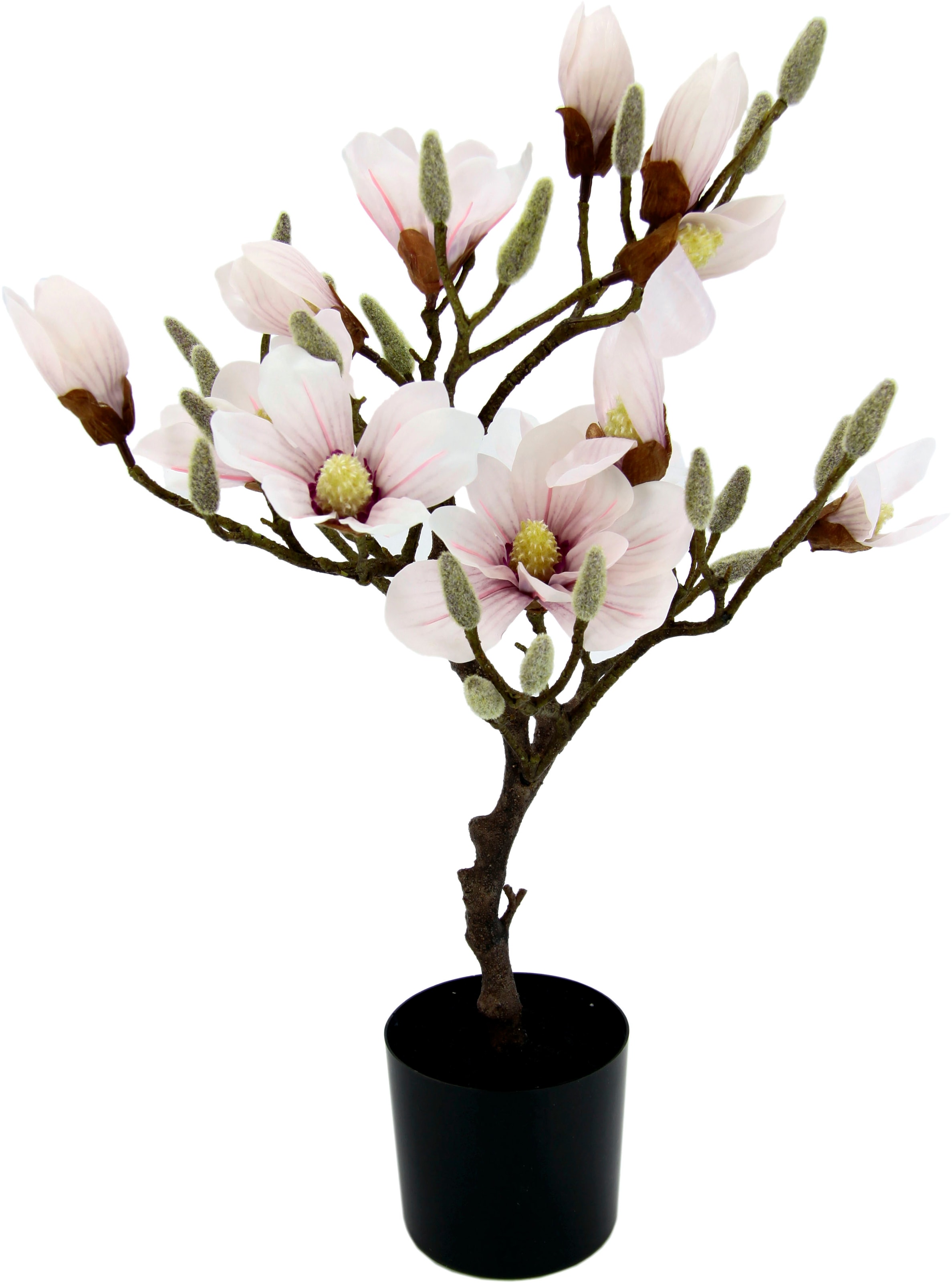 I.GE.A. Kunstbaum "Magnolienbaum", im Kunststofftopf