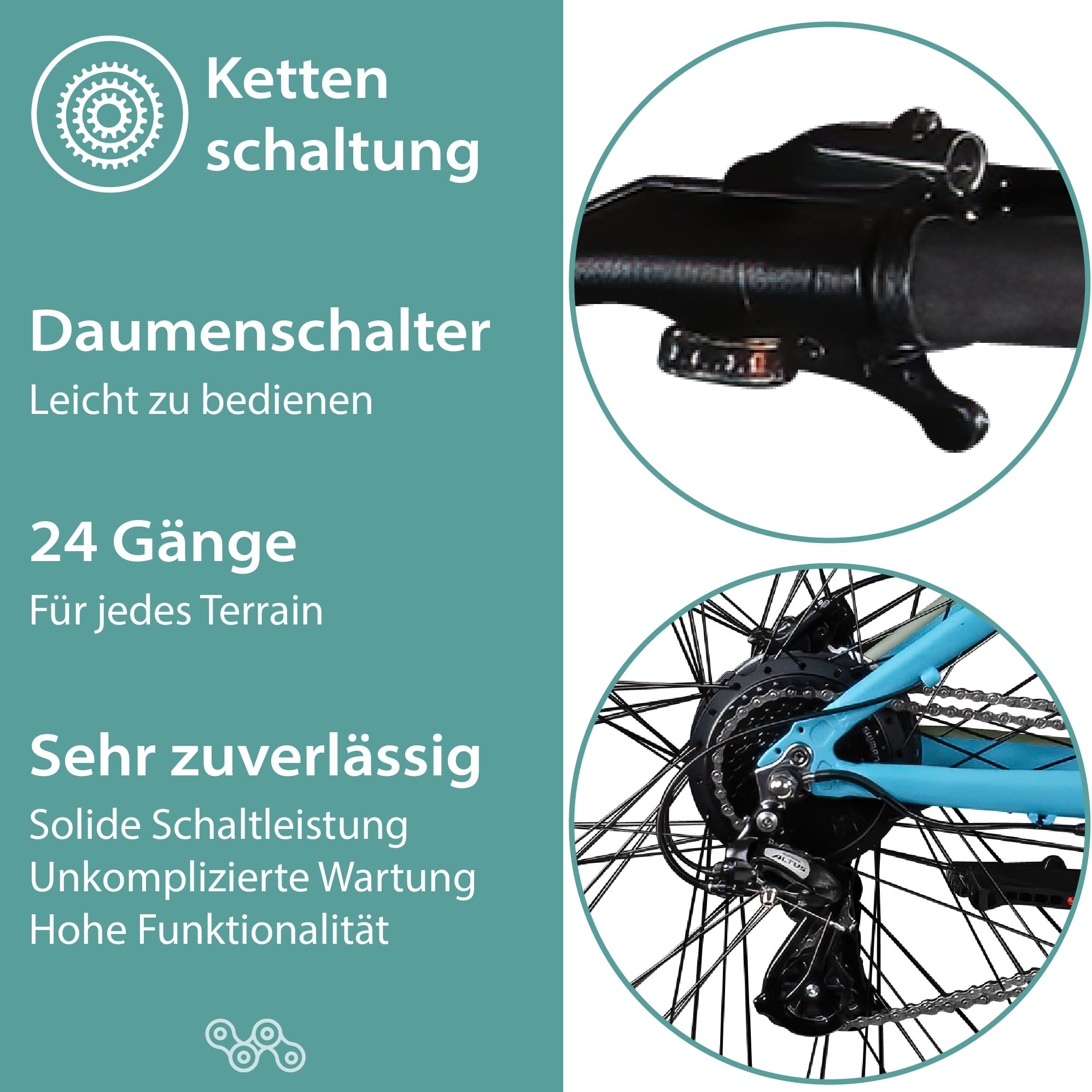 Tretwerk E-Bike »Commander Plus«, 24 Gang, Shimano, Altus M310, Heckmotor 250 W