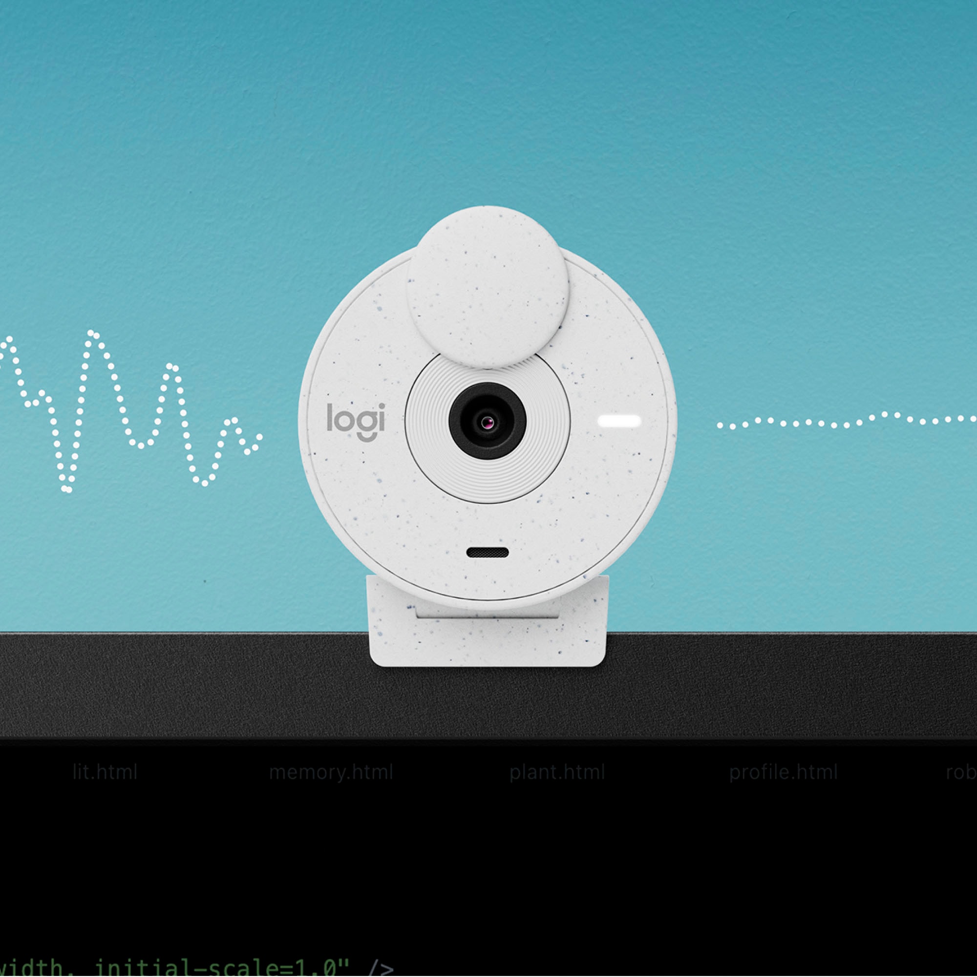 Logitech Webcam »BRIO 300«, Full HD, Mikrofon-Reichweite: Bis zu 1,22 m
