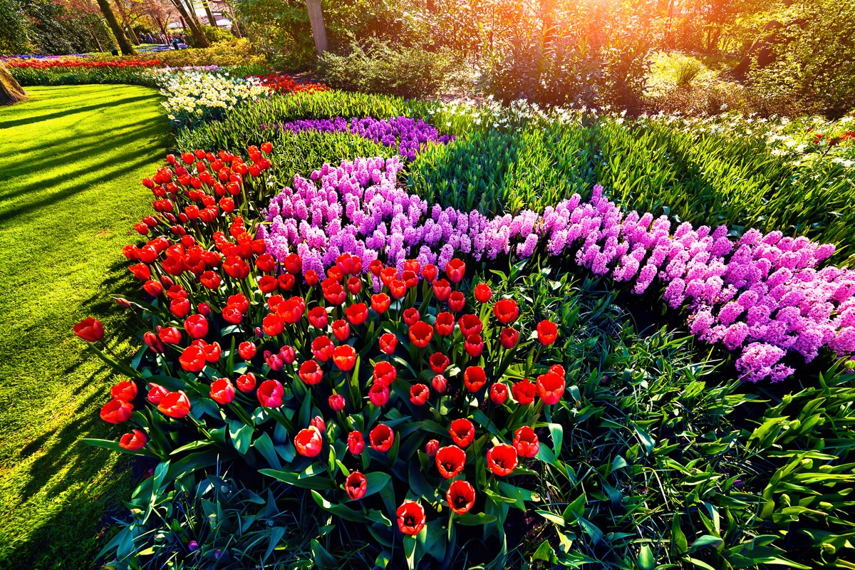 Papermoon Fototapete "Blumen im Garten"