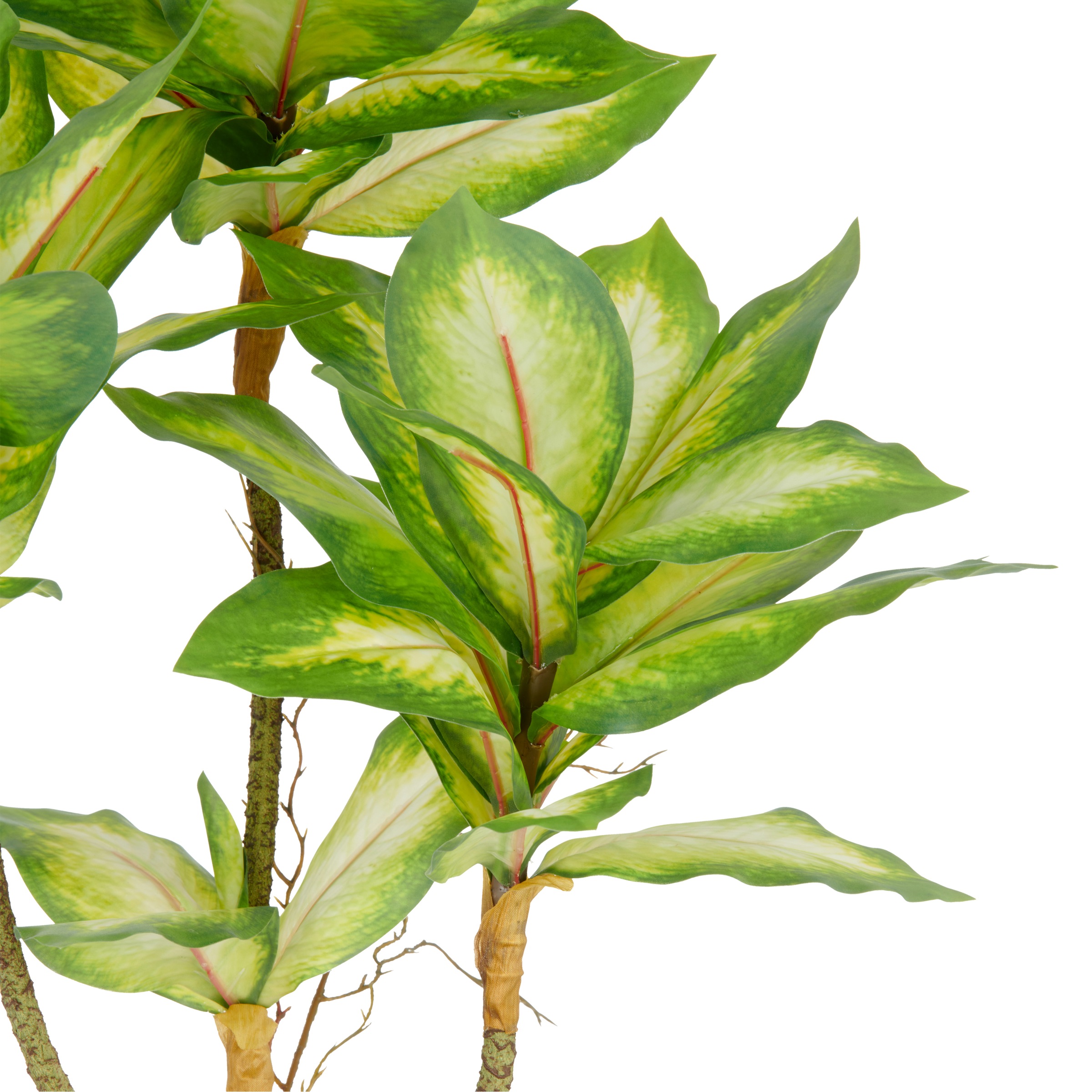 Creativ green Kunstpflanze »Dieffenbachia«, mit Luftwurzeln