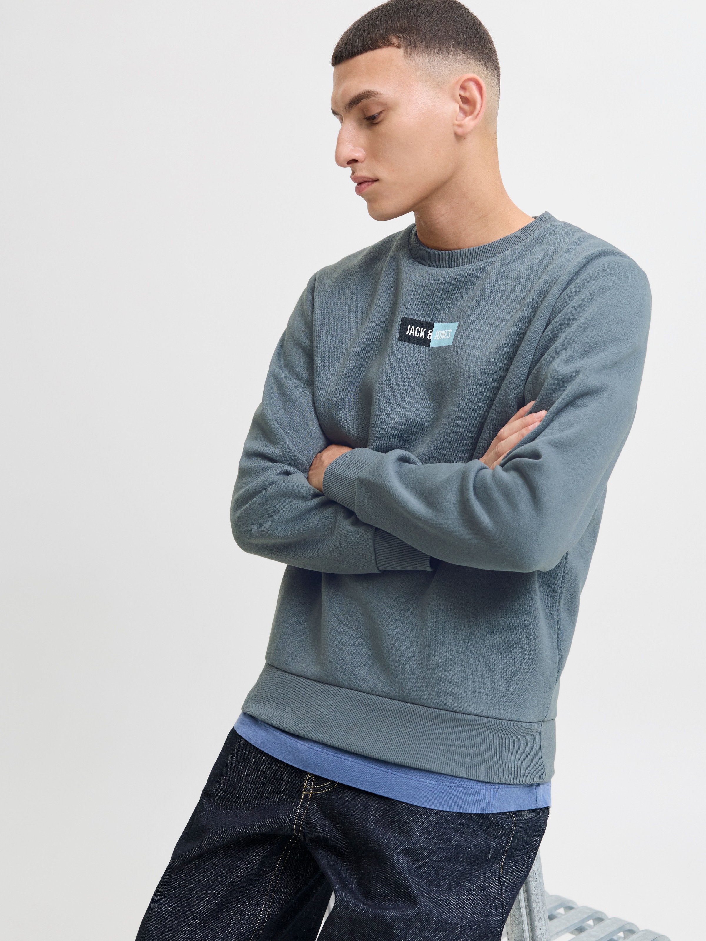 Jack & Jones Sweater "JJPAN SWEAT CREW NECK" günstig online kaufen