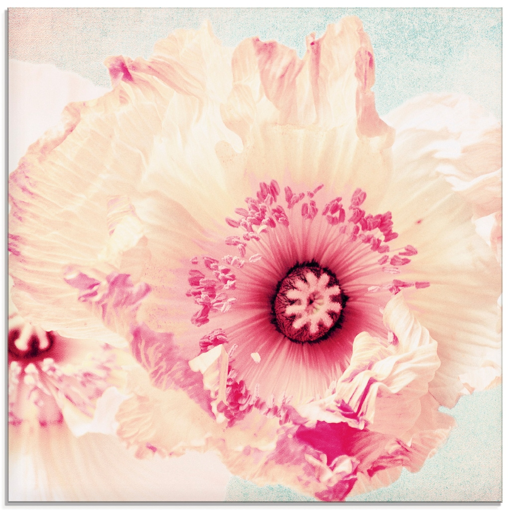 Artland Glasbild »Pastell Mohn«, Blumen, (1 St.)