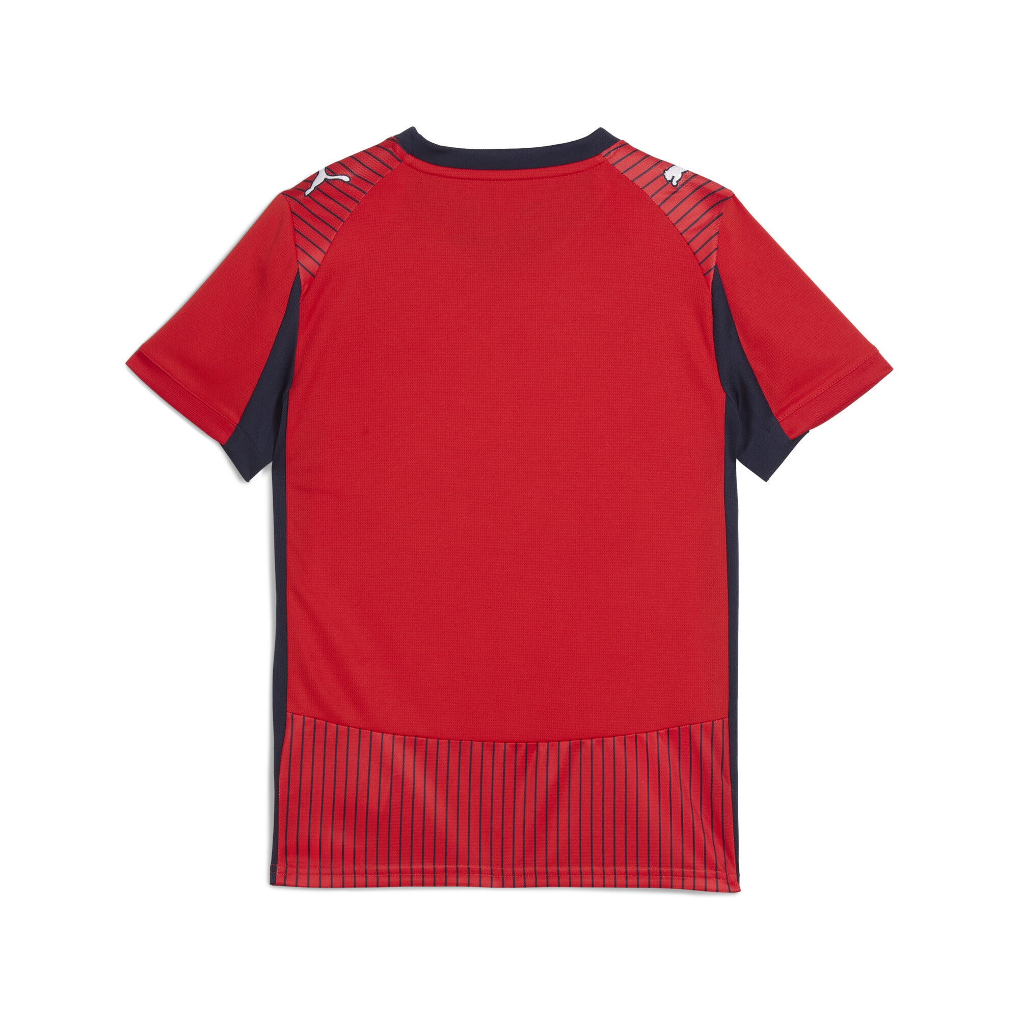 PUMA Poloshirt »SK Rapid Wien 25/26 Auswärtstrikot Jugendliche«