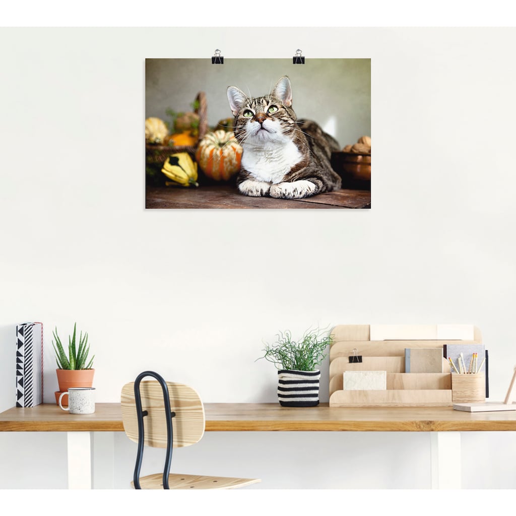 Artland Poster »Katze und Herbstdeko«, Haustiere, (1 St.)