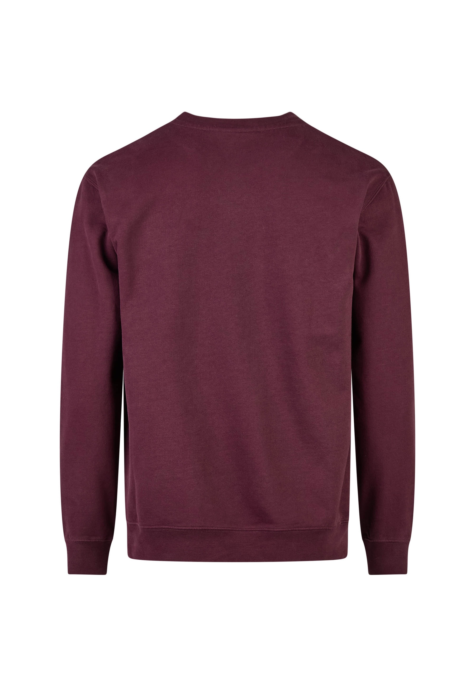 Cleptomanicx Sweatshirt »Ligull«, mit kleiner Möwen-Stickerei