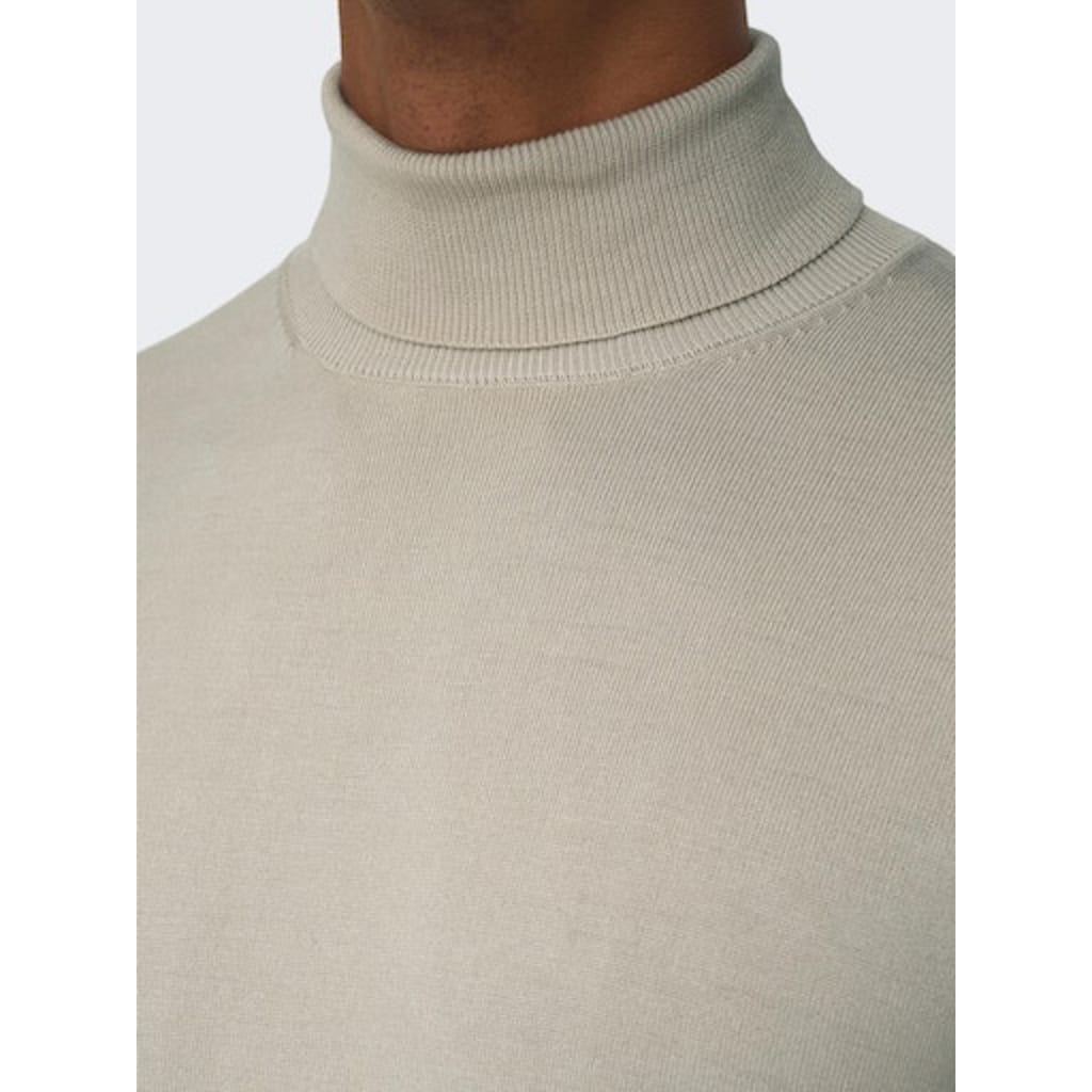 ONLY & SONS Rollkragenpullover »ONSWYLER LIFE REG ROLL NECK KNIT NOOS«