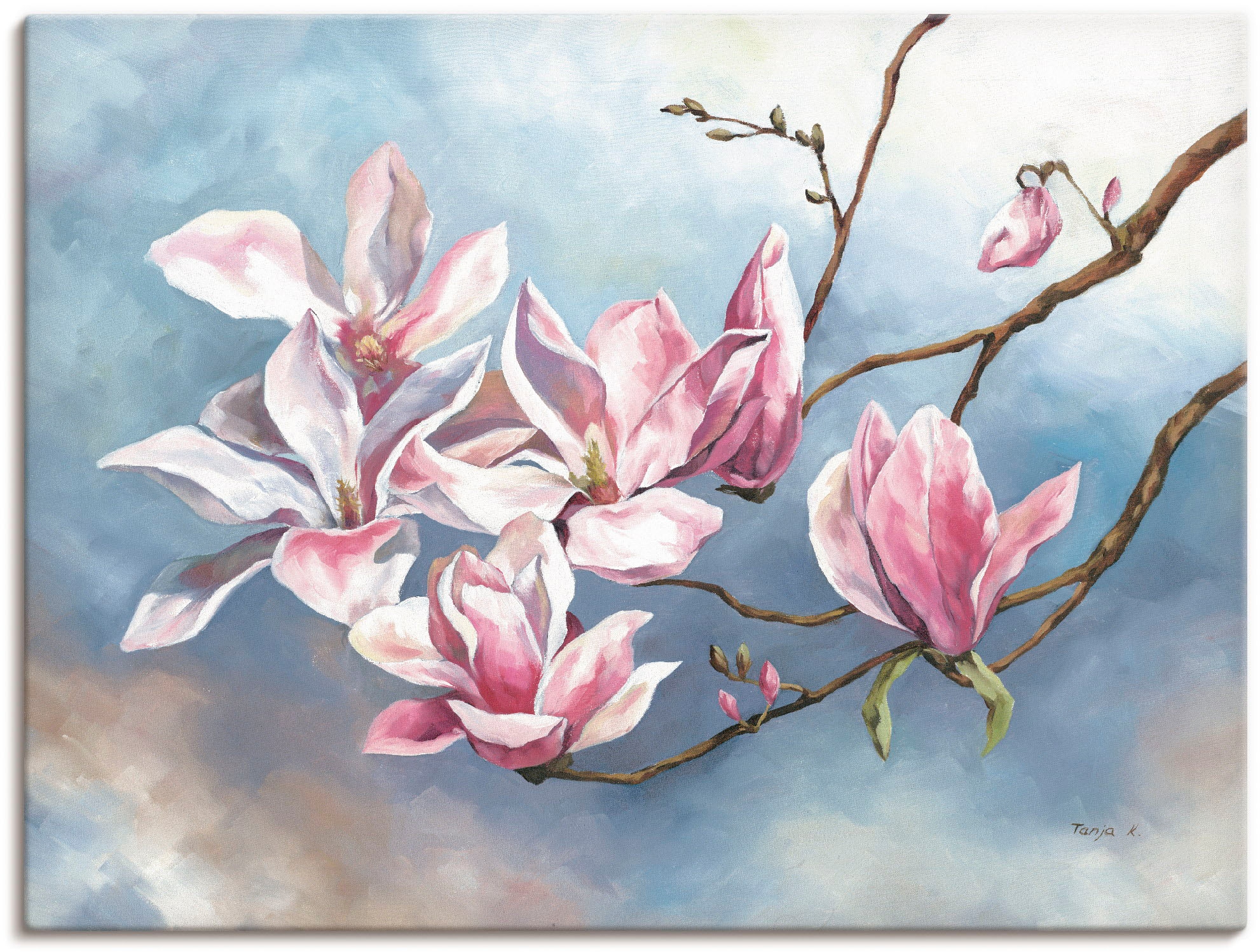 Artland Leinwandbild "Magnolienzweig" Blumen 1 Stk. tlg. als Alubild, Outdo günstig online kaufen