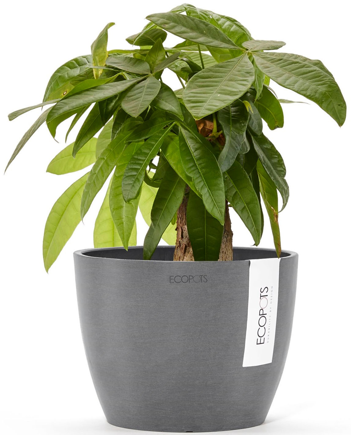 ECOPOTS Blumentopf »STOCKHOLM Grey« BxTxH: 16x16x12,5 cm