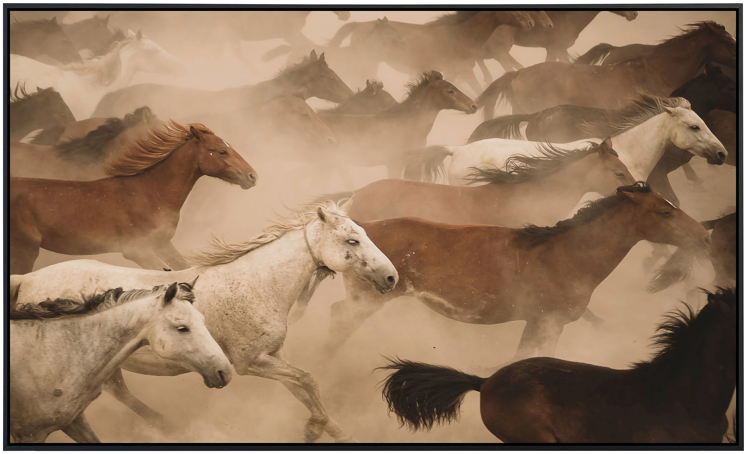 Papermoon Infrarotheizung »Pferde Herde«, sehr angenehme Strahlungswärme