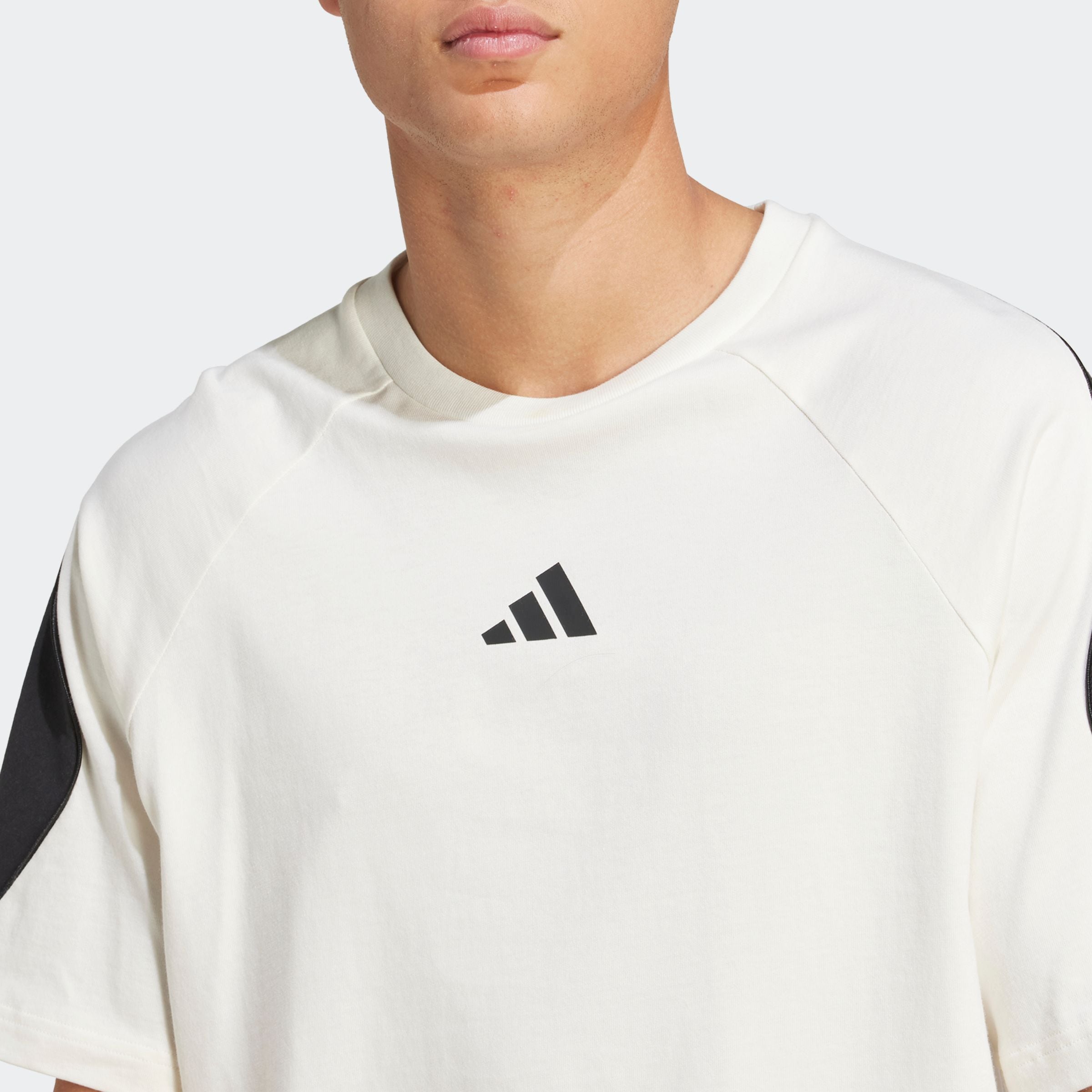 adidas Sportswear T-Shirt »M STADIUM TEE«