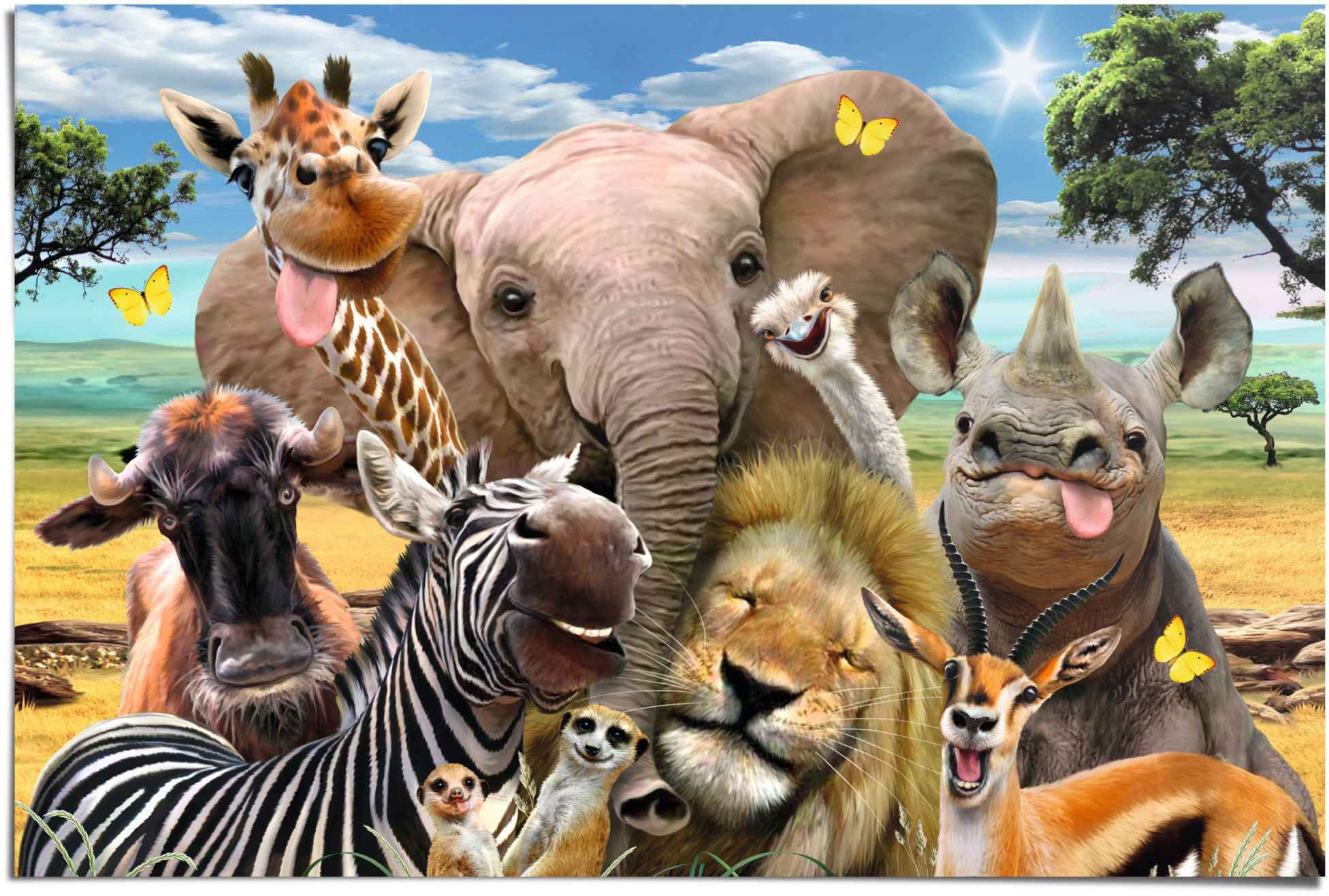 Reinders Poster "Lustige Wildtiere" 1 Stk. tlg. günstig online kaufen
