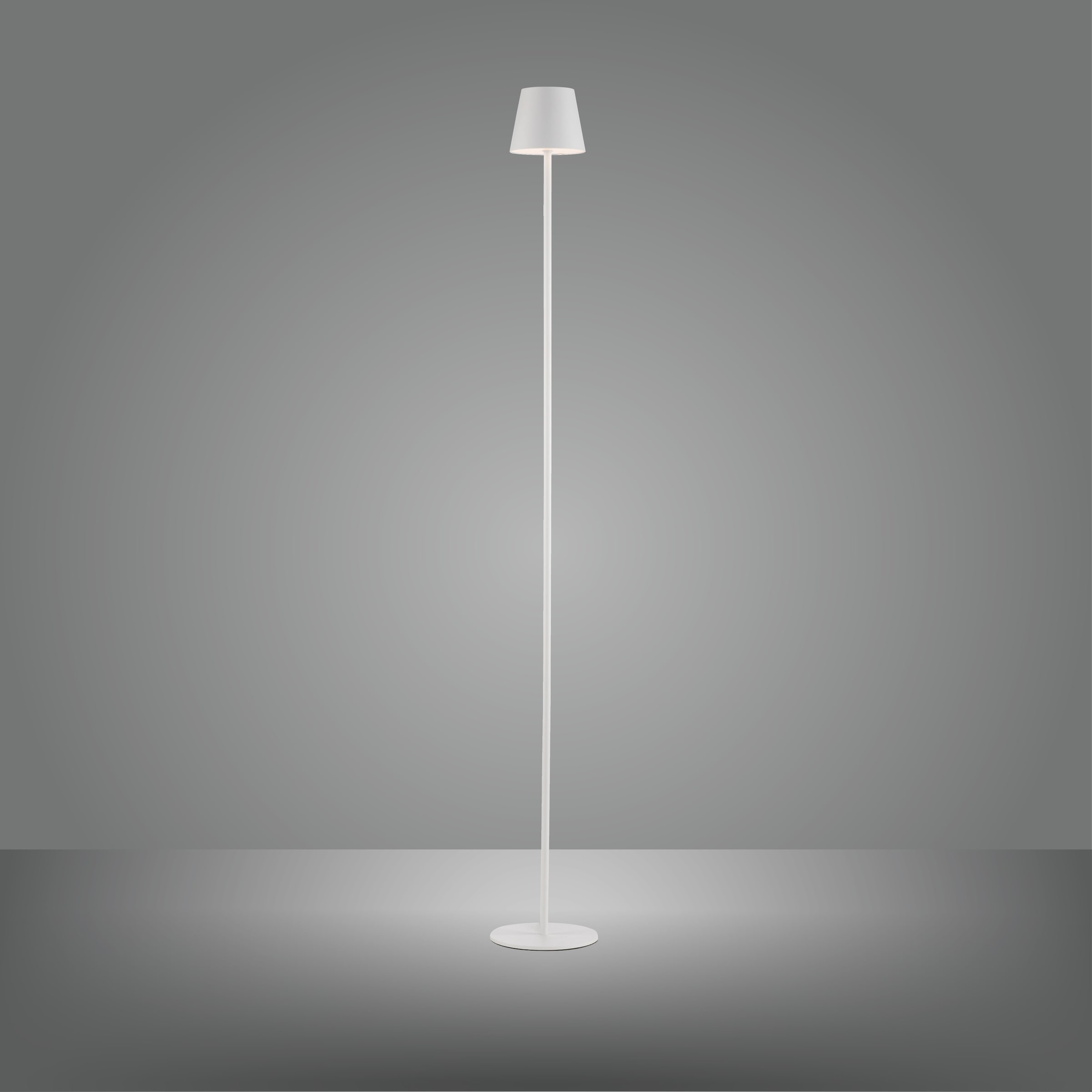 JUST LIGHT Stehlampe »EURIA«, 1 flammig, Leuchtmittel LED-Modul | LED fest integriert, Akkuleuchte