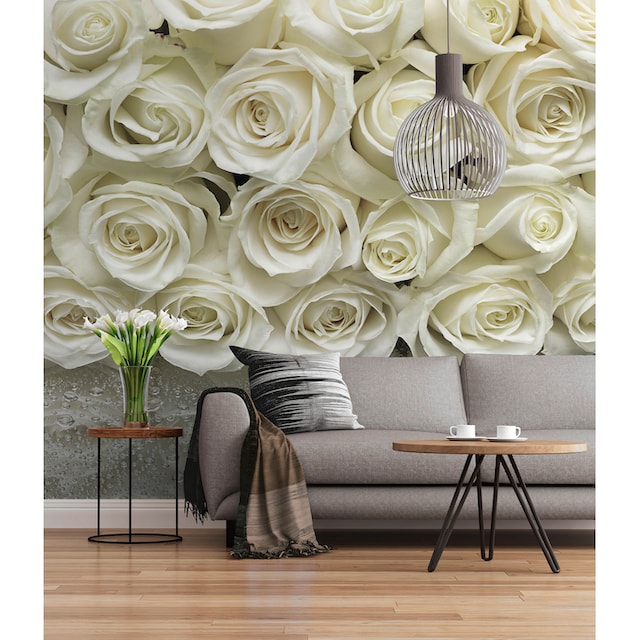 Komar Fototapete »A La Rose«, 368x254 cm (Breite x Höhe) günstig | BAUR