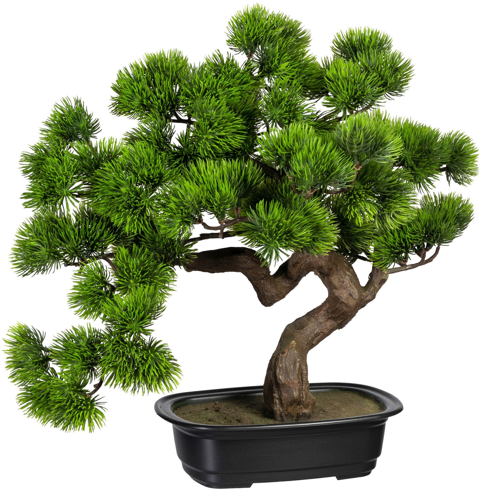 Creativ green Kunstbonsai "Bonsai Kiefer" günstig online kaufen