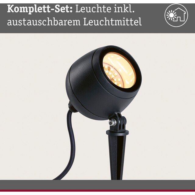 Paulmann LED Gartenleuchte »Outdoor 230V Spot Kikolo Insect friendly ZigBee«,  1 flammig-flammig, Insektenfreundlich bestellen | BAUR