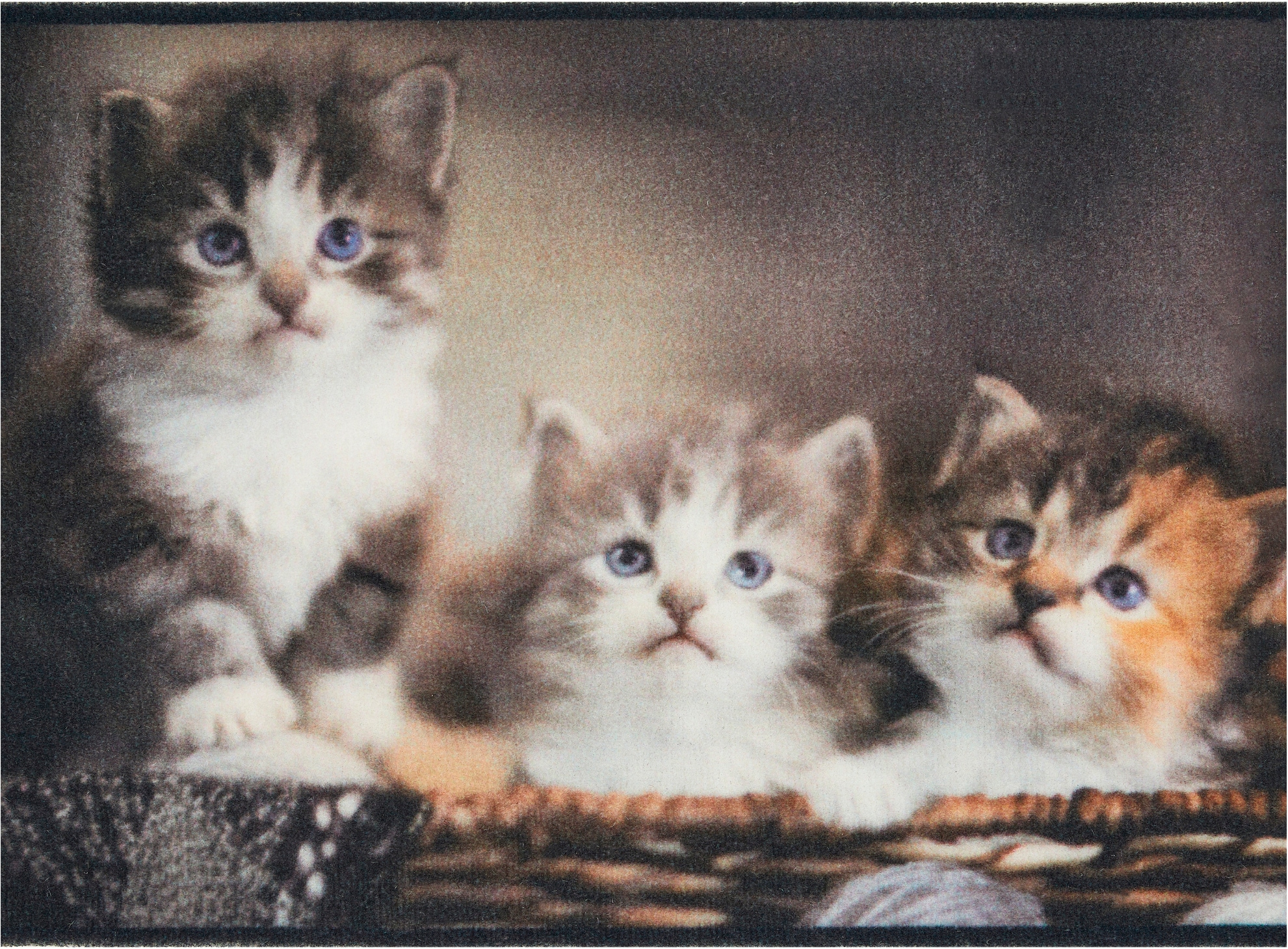 Andiamo Fußmatte "Modern" rechteckig 6,5 mm Höhe Schmutzfangmatte, bedruckt günstig online kaufen