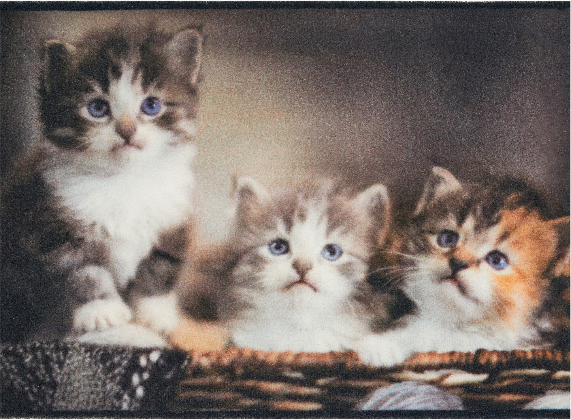 Andiamo "Modern" rechteckig 6,5 mm Höhe Schmutzfangmatte, bedruckt, diverse günstig online kaufen