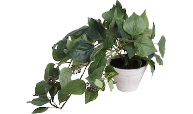 Künstliche Zimmerpflanze »Schwarzpappelhaengebusch im Tontopf«