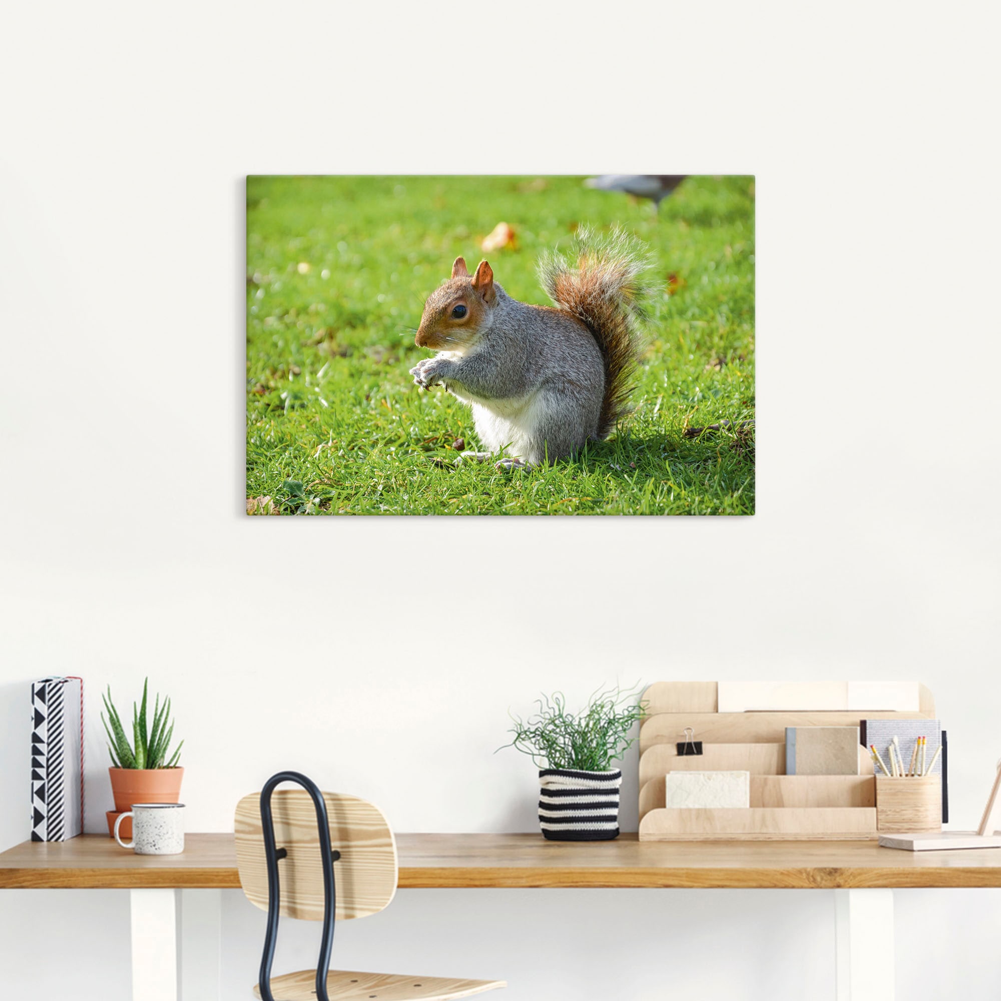 Artland Wandbild »Graues Eichhörnchen«, Wildtiere, versch. Wandaufkleber Alubild, St.), Leinwandbild, Poster (1 oder BAUR kaufen als Größen | in