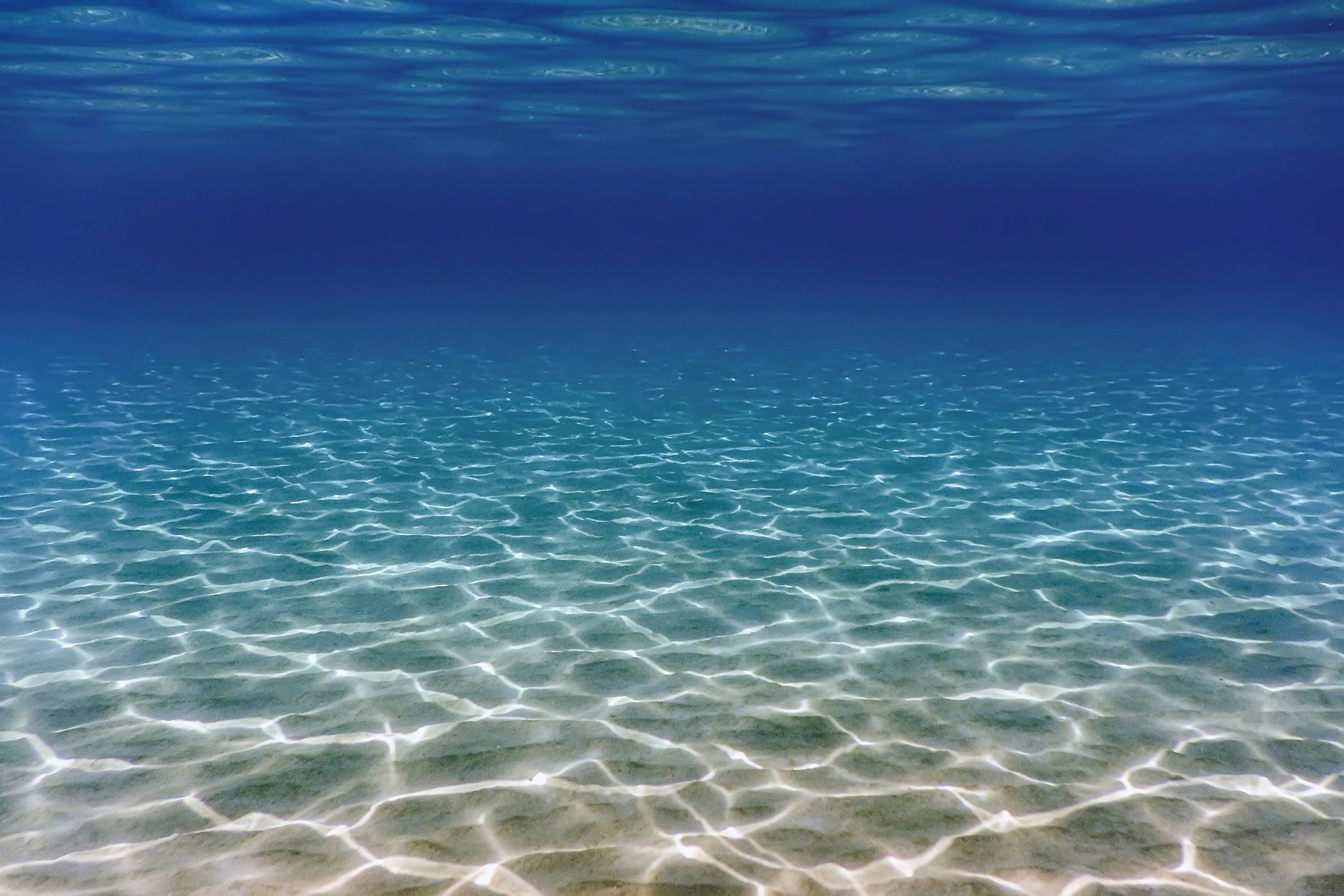 Papermoon Fototapetas »UNTERWASSER-WELT-OZEANE S...